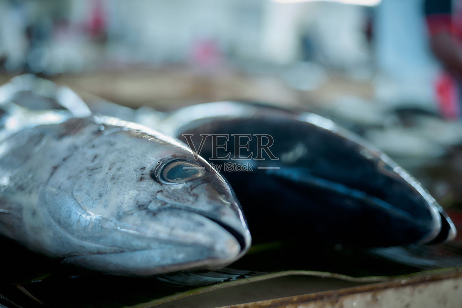 传统鱼市的黄鳍金枪鱼照片摄影图片