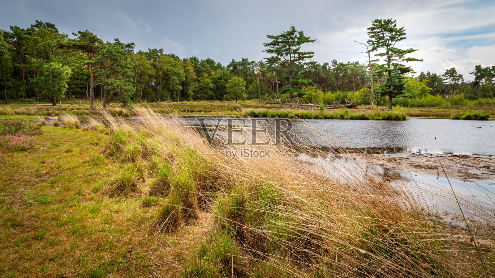 景观仇恨和过度评估文宁荷兰照片摄影图片