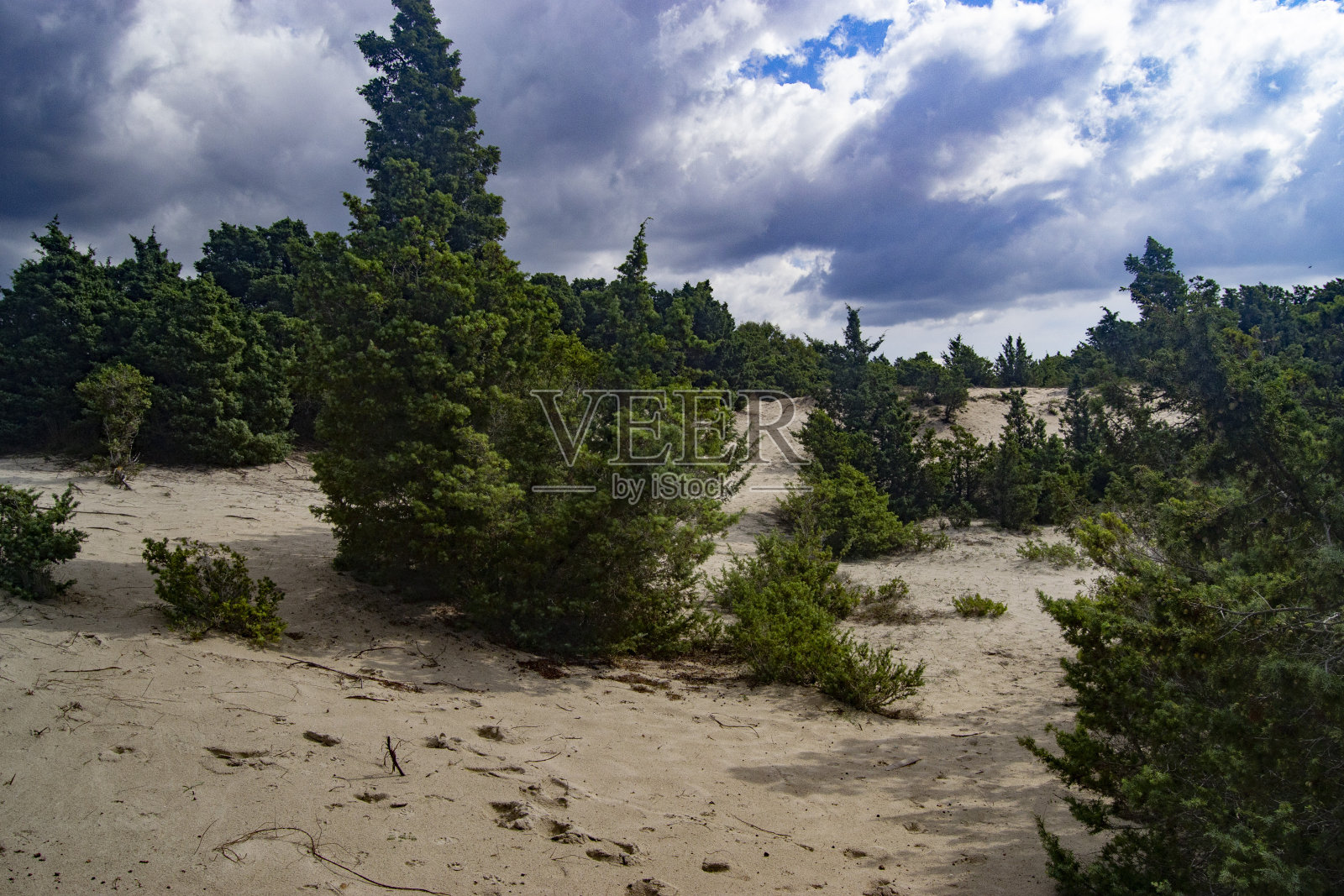 索利纳斯海滩照片摄影图片