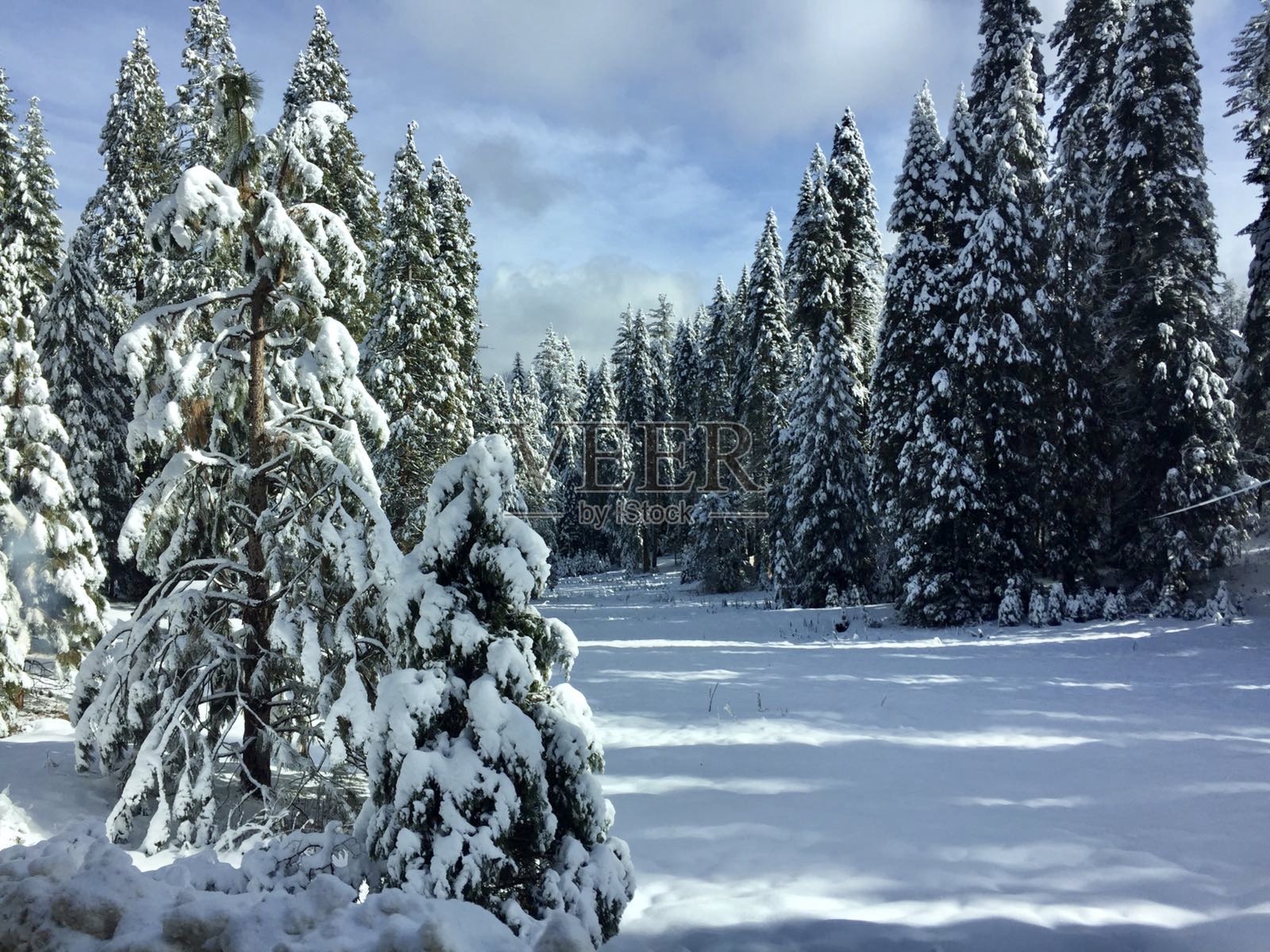 雪道路照片摄影图片