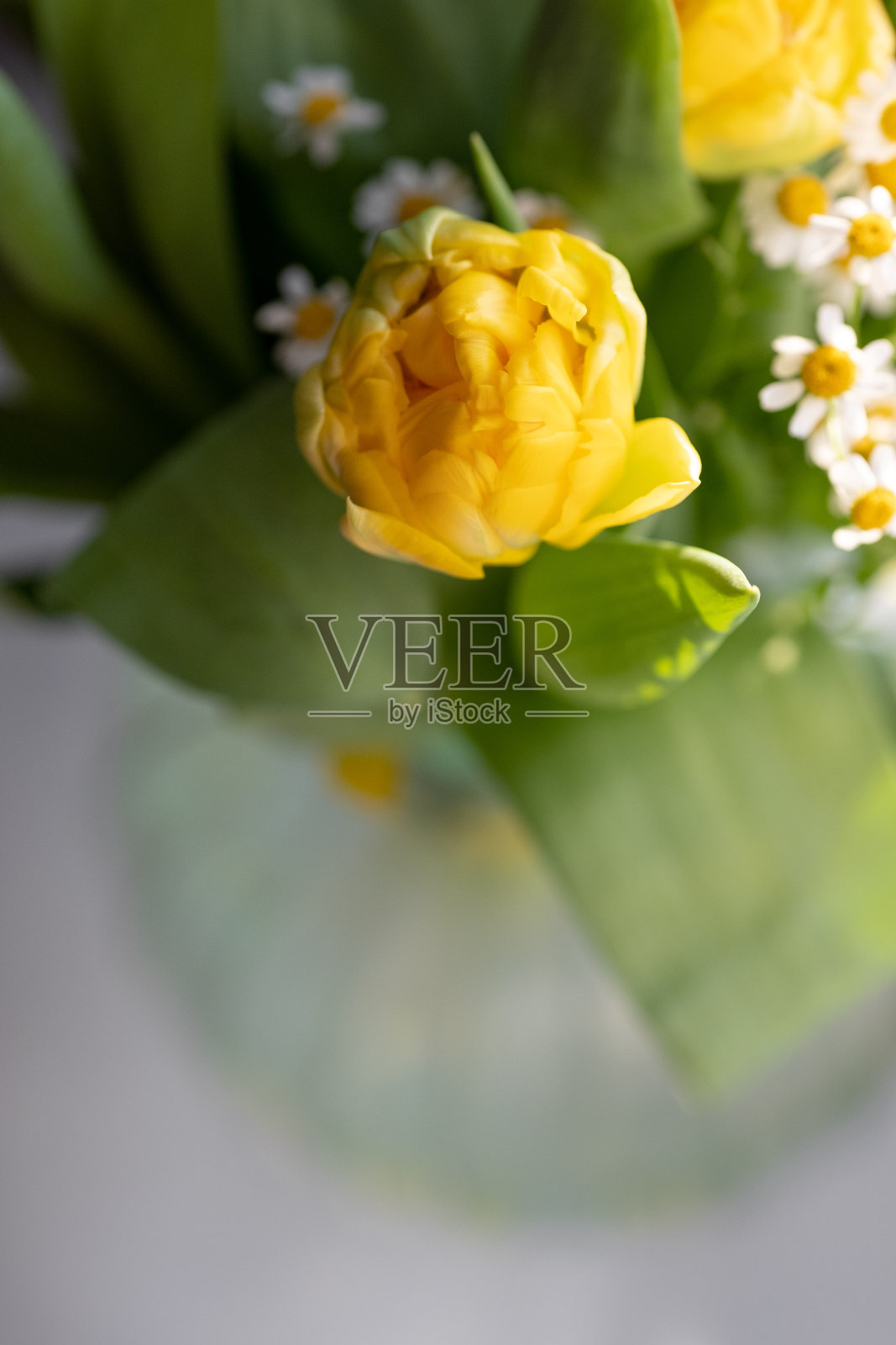 美丽的花束:黄色的郁金香，水仙花，洋甘菊。五彩缤纷的春花背景。盛开的鲜花的概念。母亲节快乐照片摄影图片