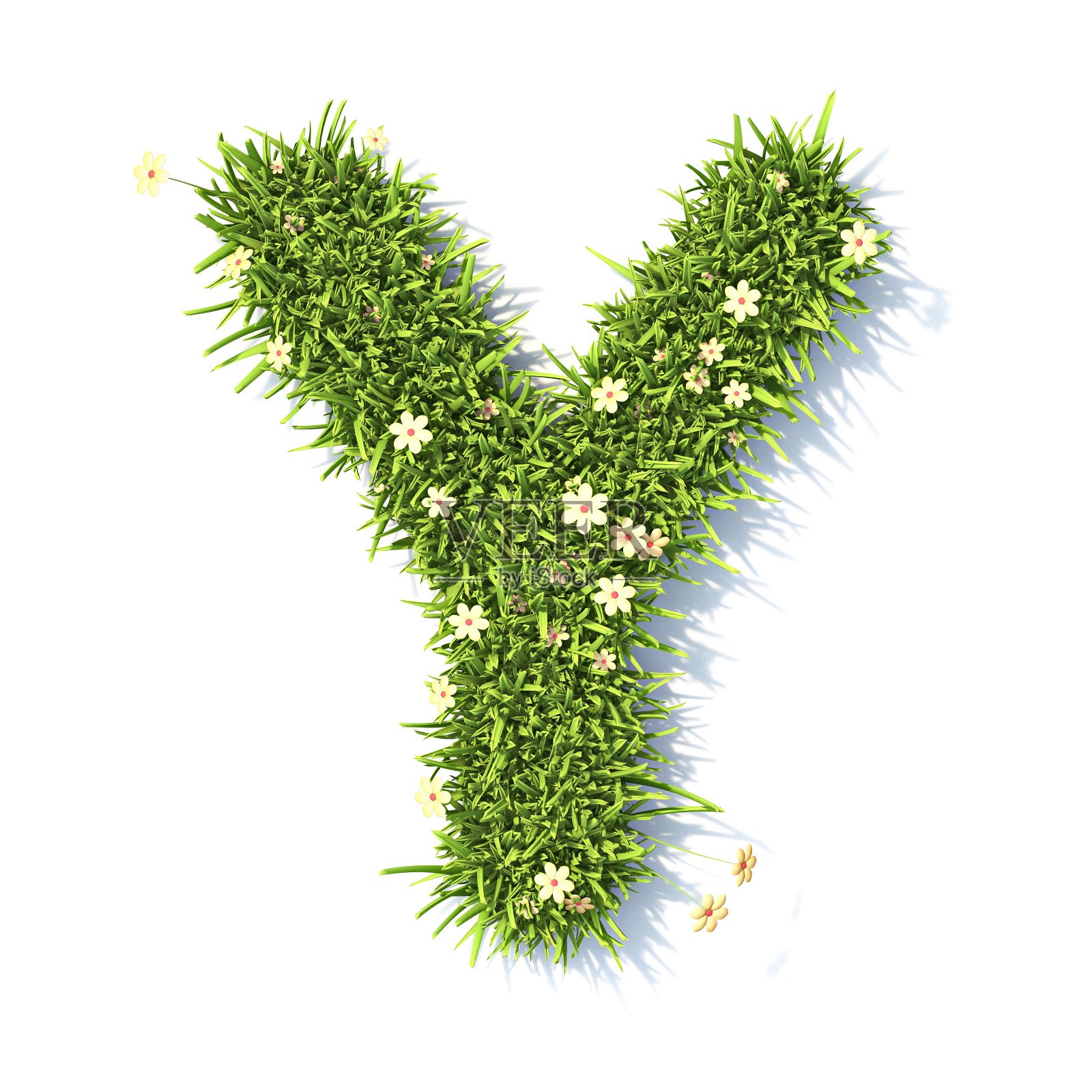 草字体字母Y 3D照片摄影图片