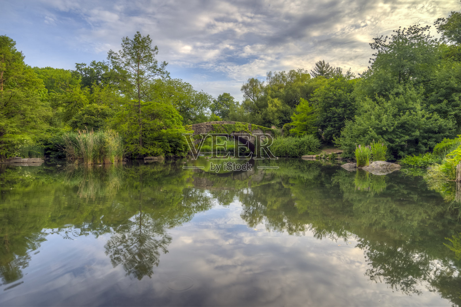 中央公园的盖普斯托桥照片摄影图片