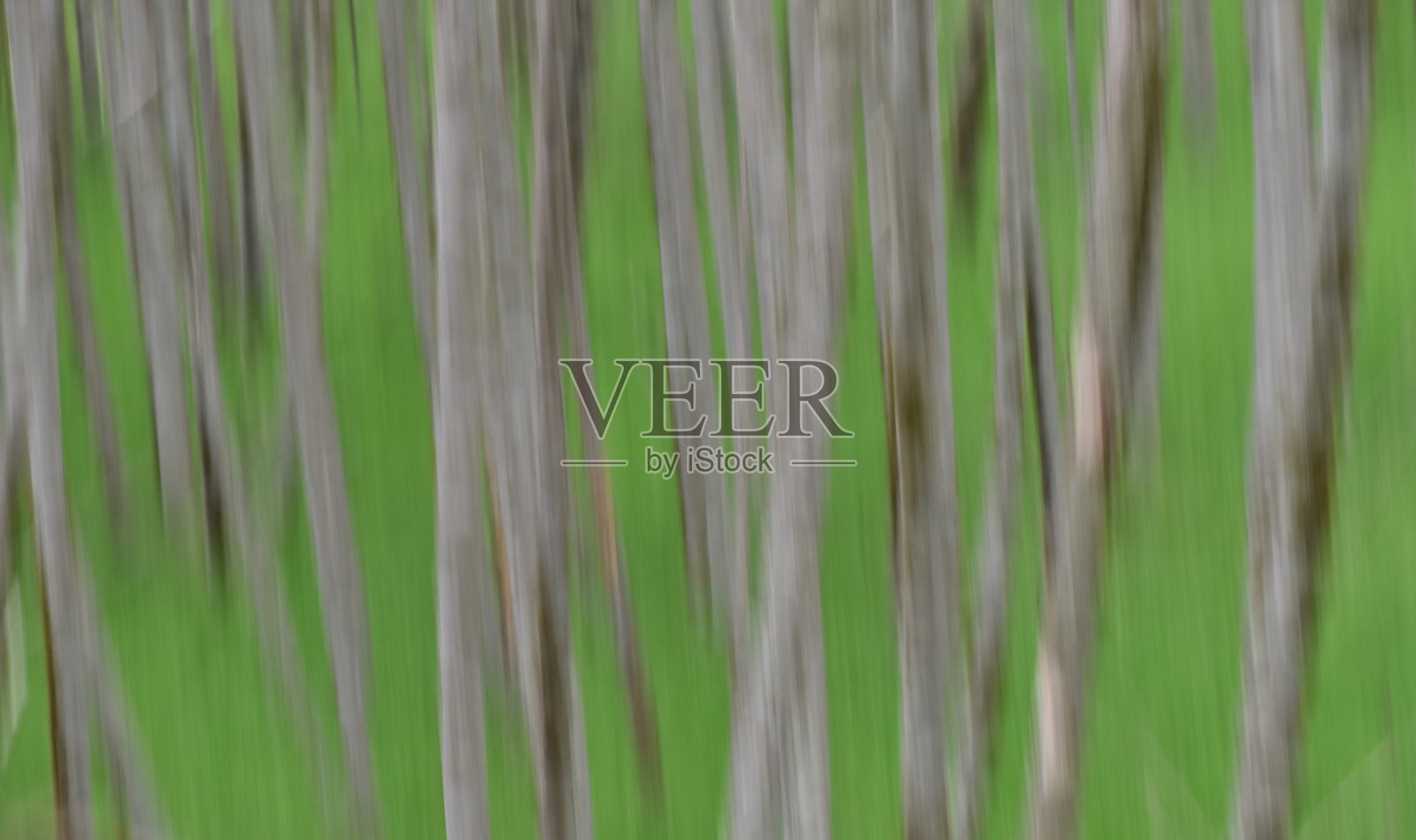 印象派风格，故意模糊的画一片森林。照片摄影图片