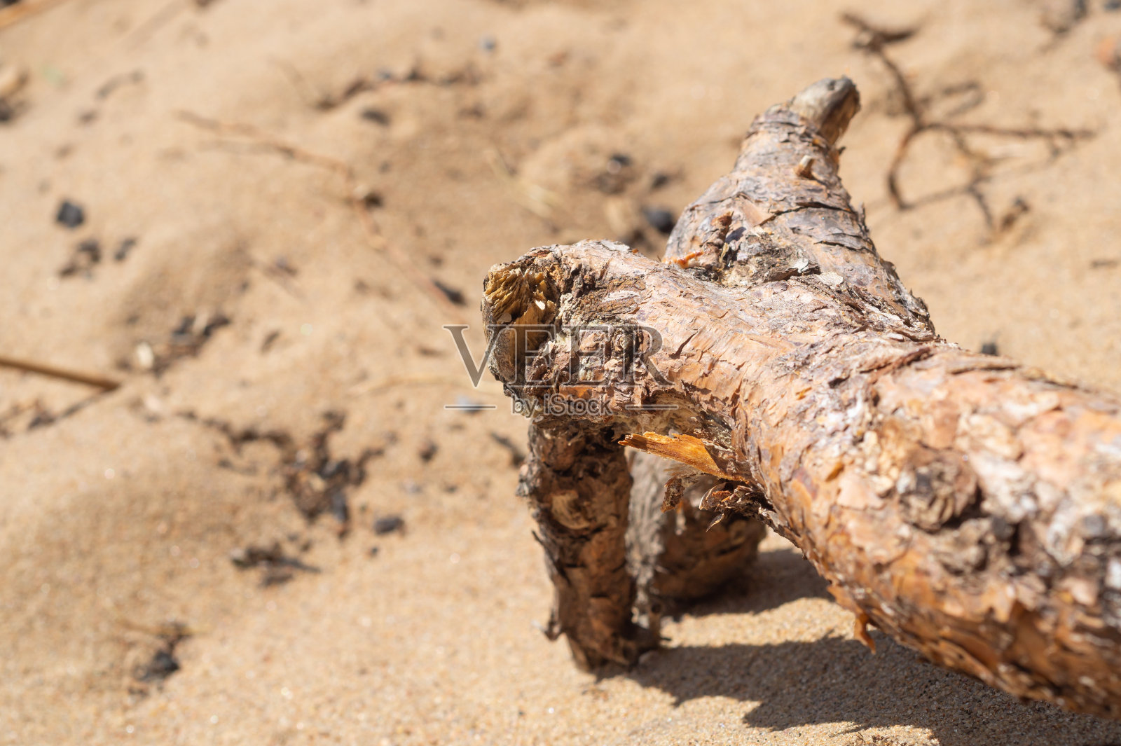 沙滩上干树枝上的沙子。地上的小树枝照片摄影图片