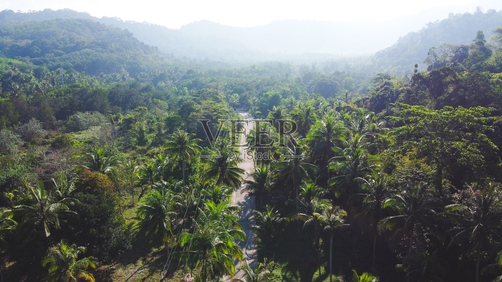 路和椰子树，岛上有椰子树和天空。在海边放松。照片摄影图片