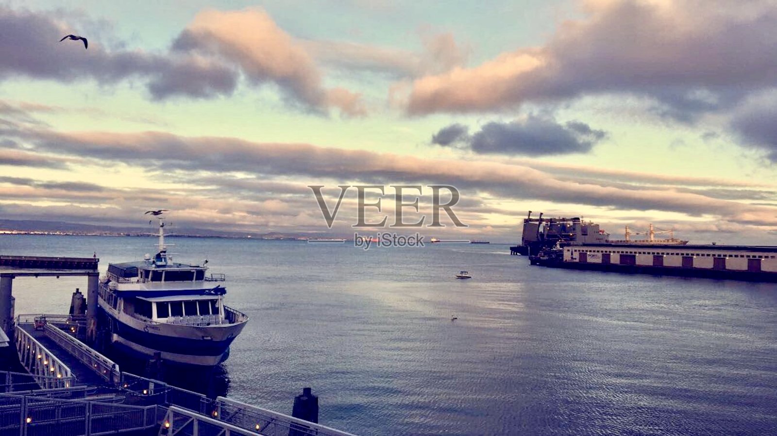 码头的观点照片摄影图片