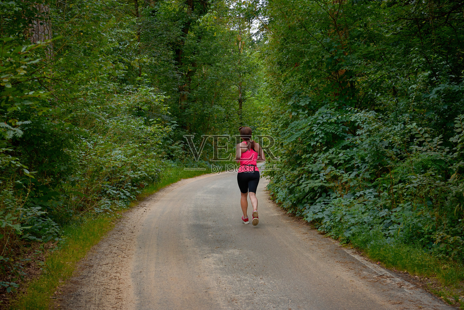 健康的概念。一个女人沿着森林的道路奔跑。照片摄影图片