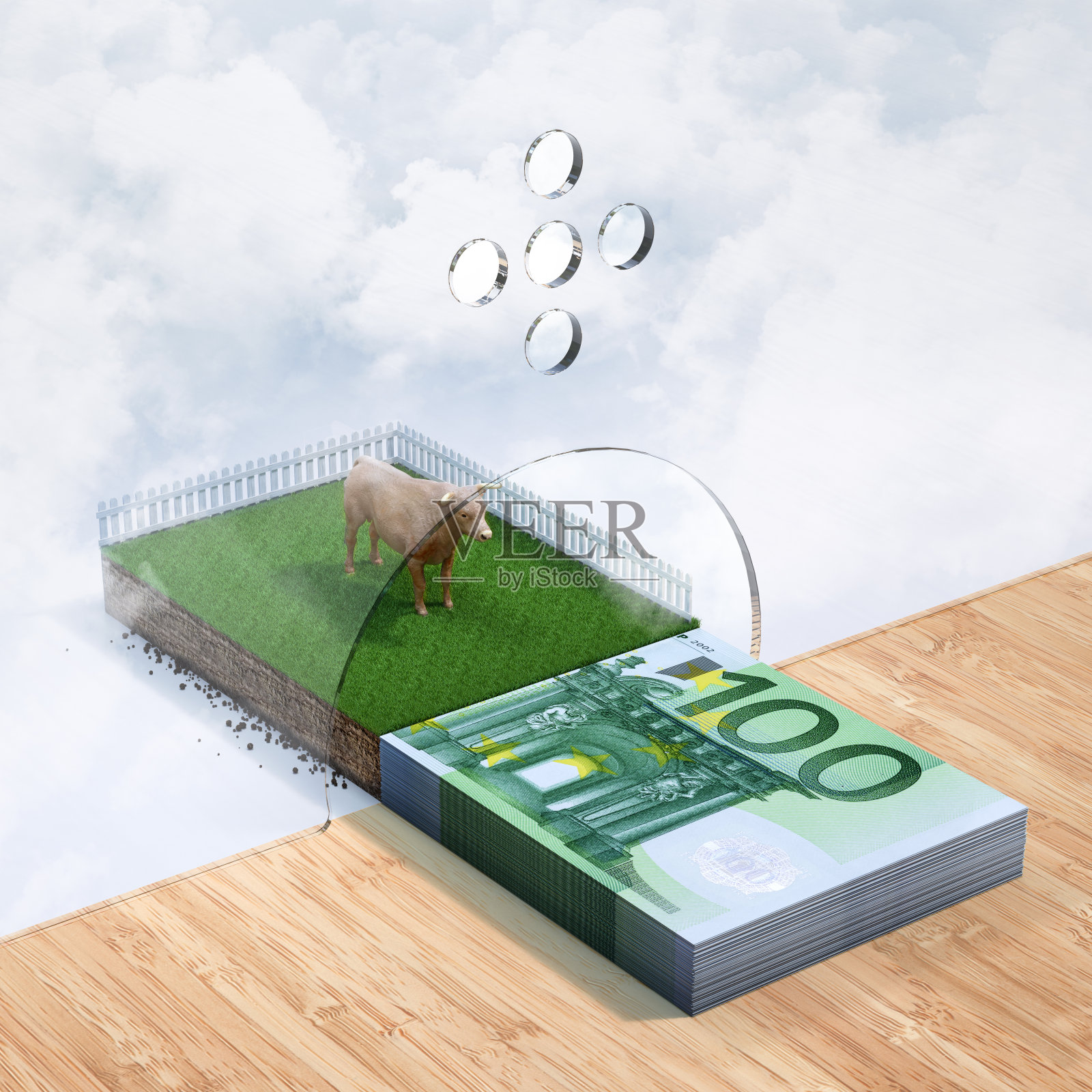 动物的贷款照片摄影图片