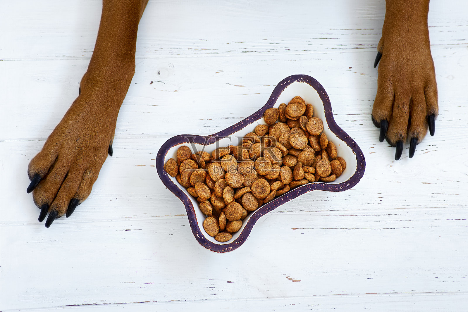 白色的木头背景上是狗的爪子和一碗干粮。照片摄影图片