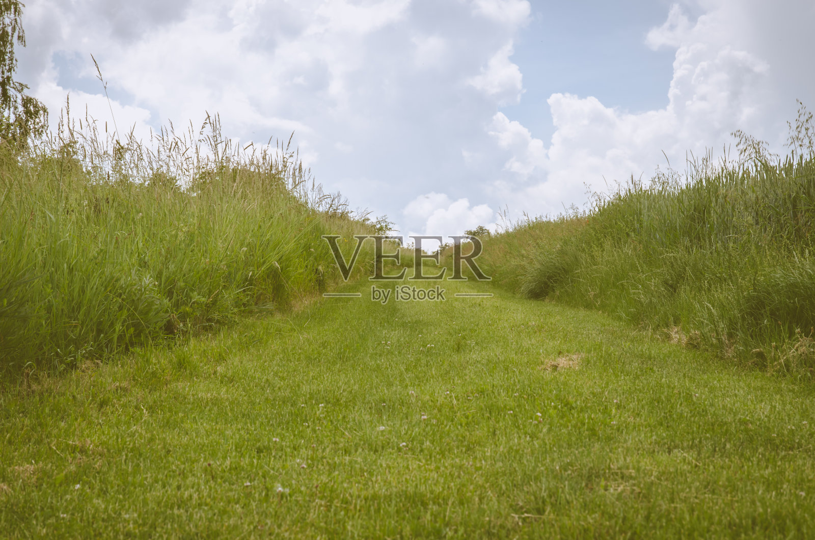 大自然的春色照片摄影图片