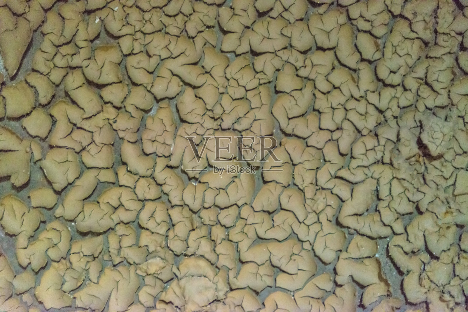 裂开的泥土，裂开的泥土照片摄影图片