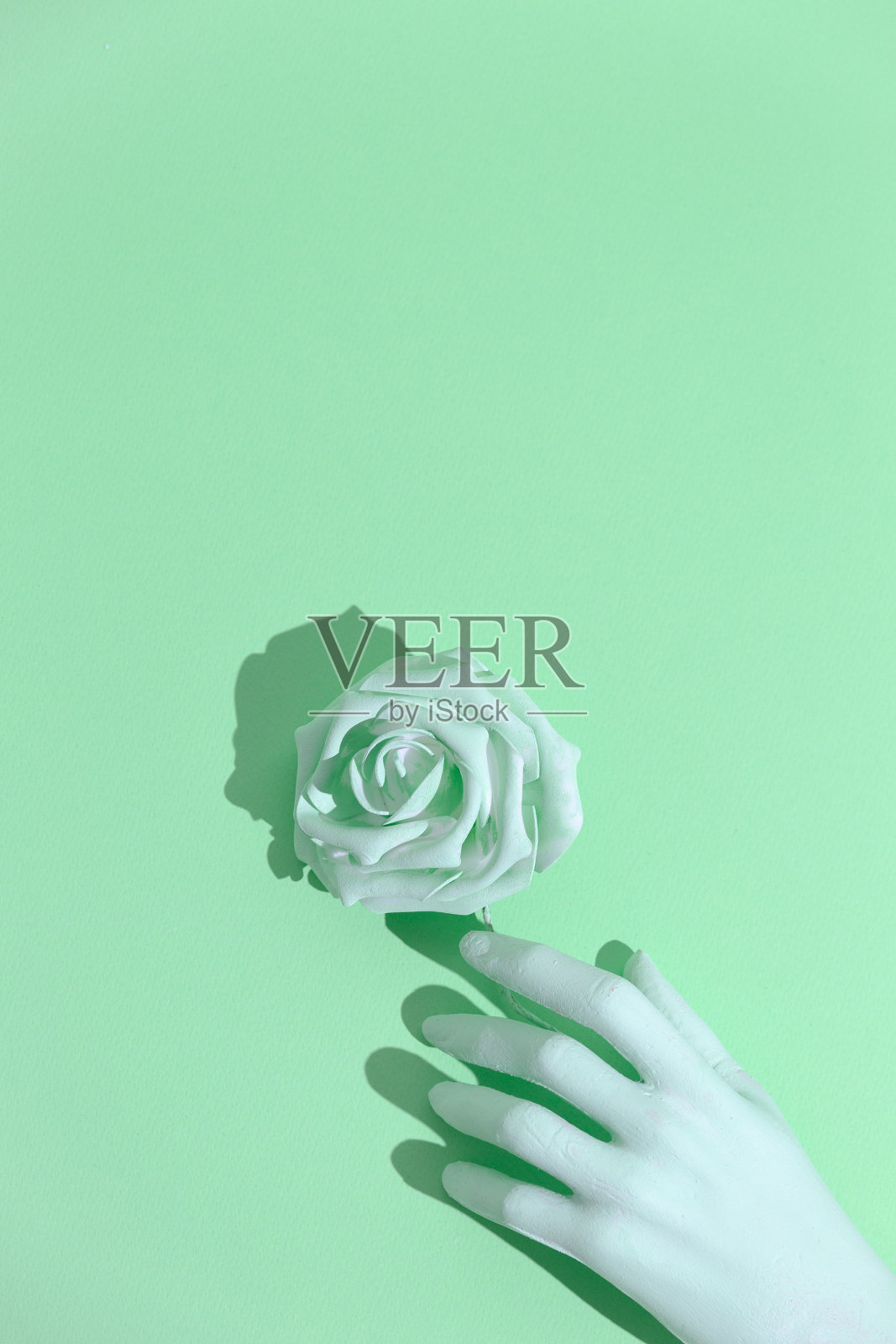 Aqua menthe趋势美学。最小静物设计。假手和玫瑰照片摄影图片