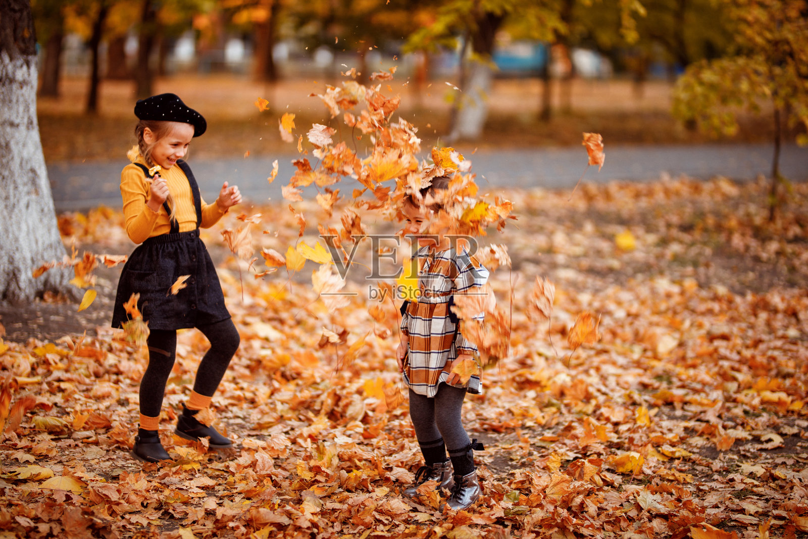 小妹妹们在秋天的公园里玩树叶。照片摄影图片