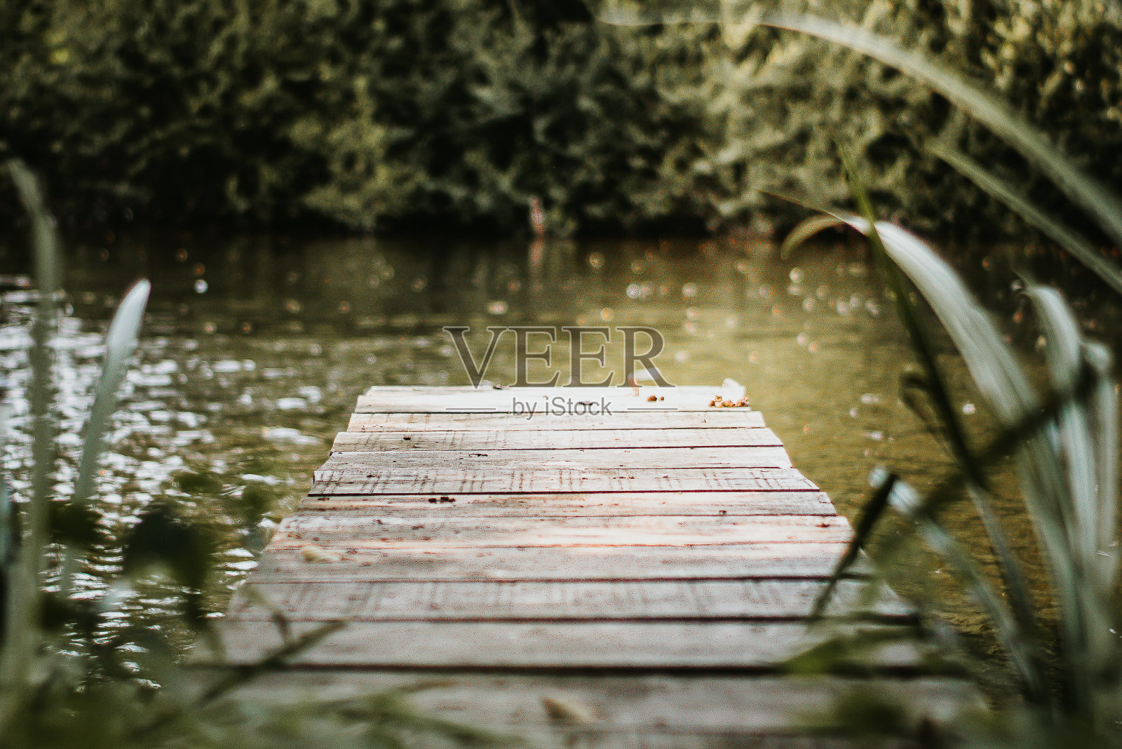 木板路照片摄影图片