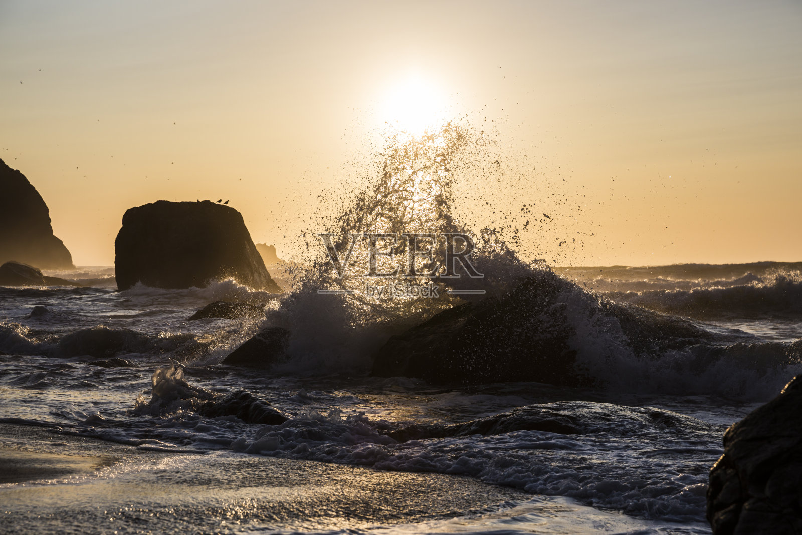 美丽的海滩日落在红木国家公园照片摄影图片