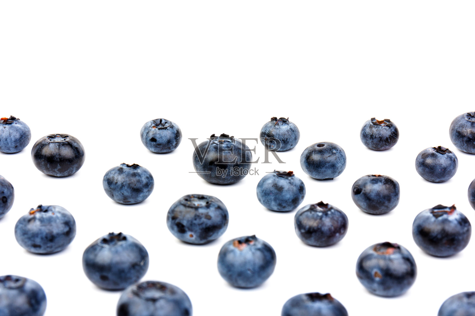 蓝莓孤立。蓝莓白底。越桔。剪切路径。照片摄影图片