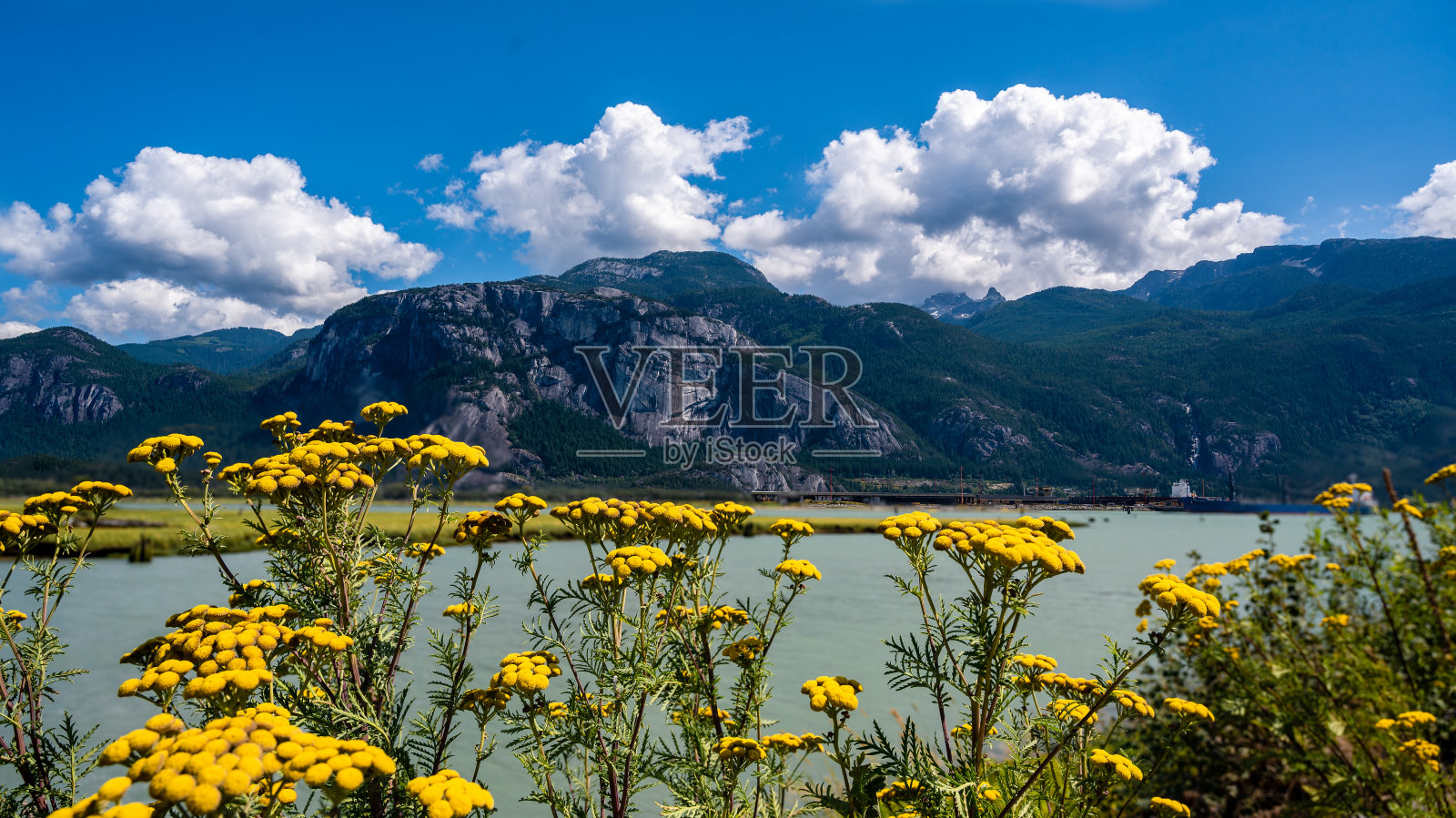 斯瓦穆斯酋长照片摄影图片