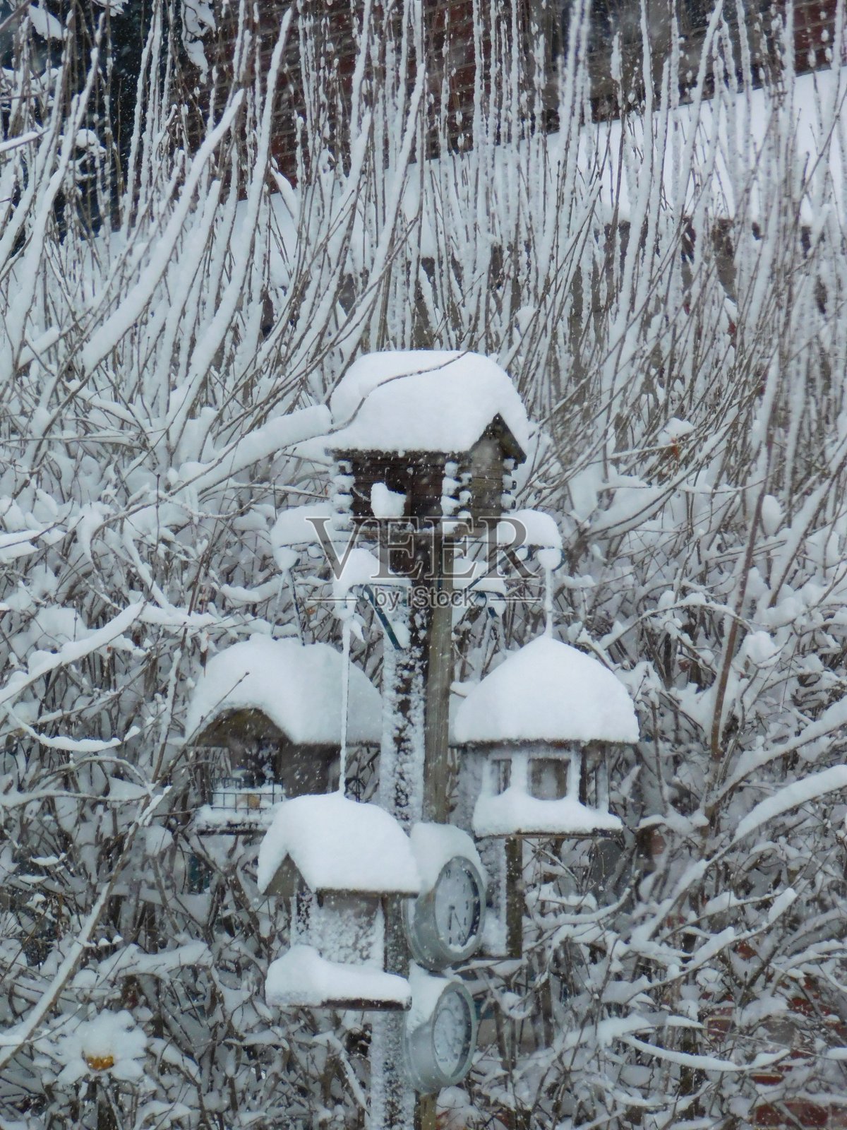 雪覆盖的喂鸟器和房子照片摄影图片