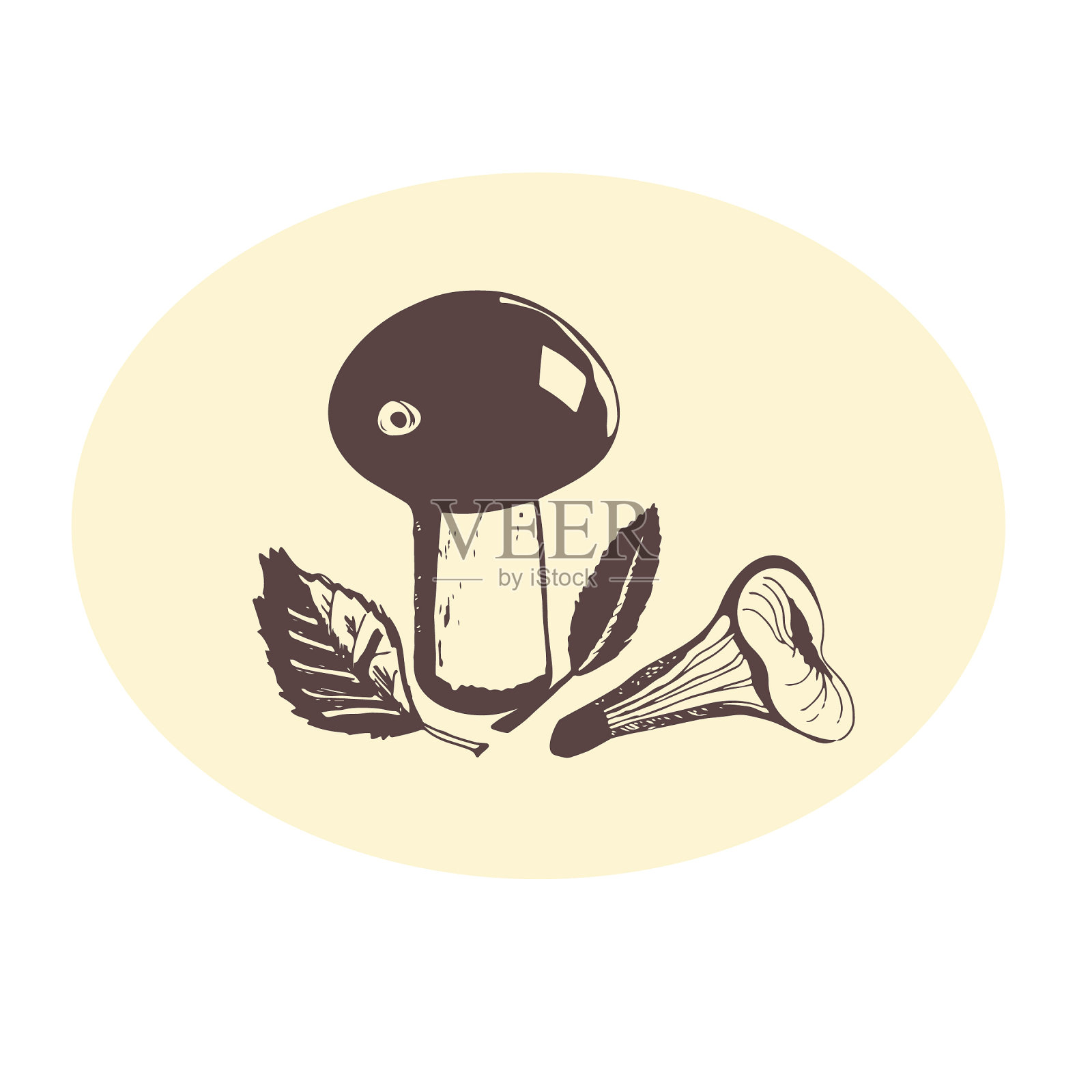 蘑菇和叶子。手绘的复古插画。鸡油菌和香菇。秋季森林组成。插画图片素材