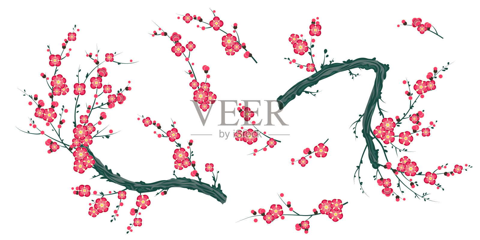 一组盛开的梅花枝插画图片素材