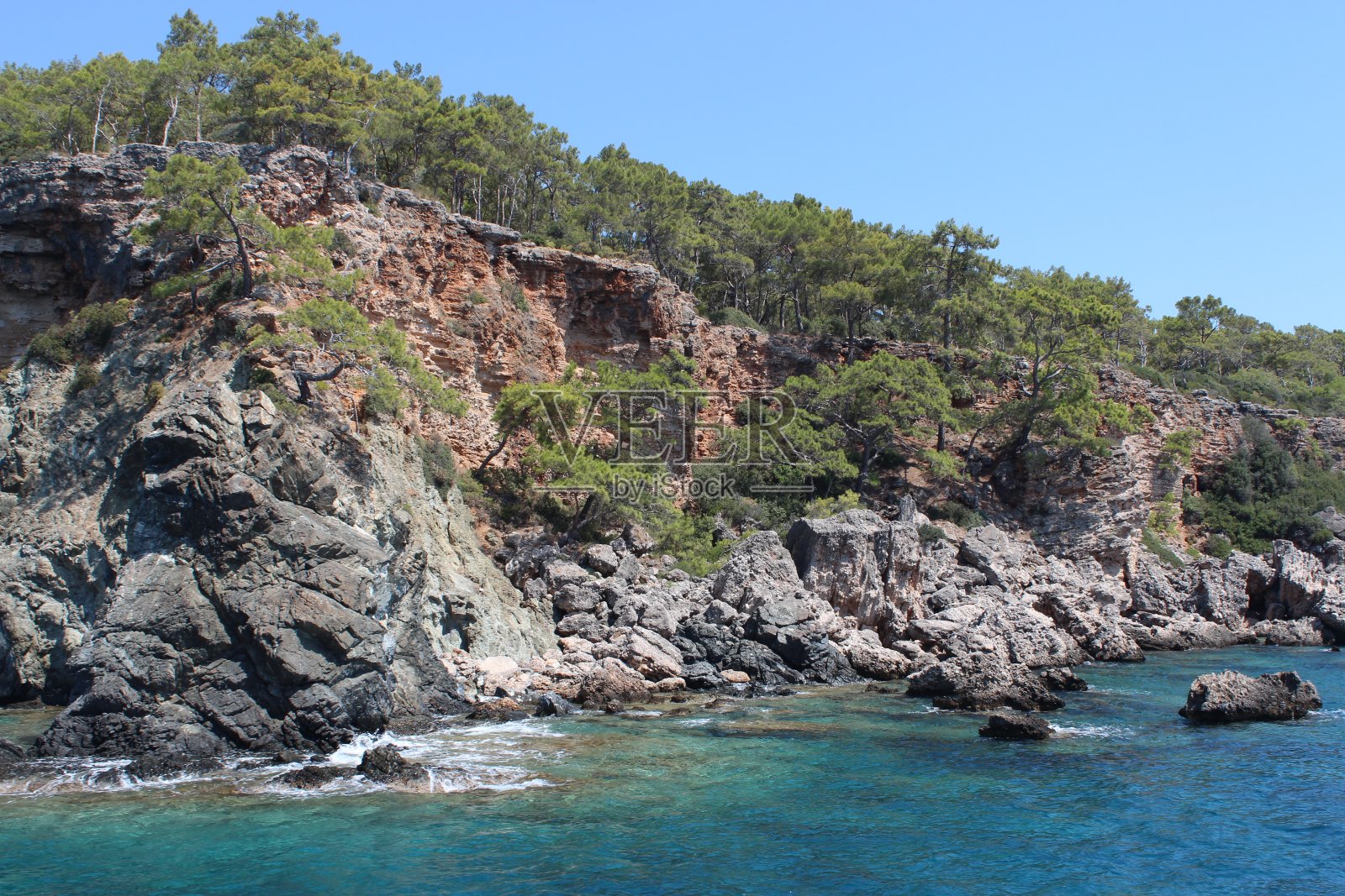 自然森林景观照片摄影图片