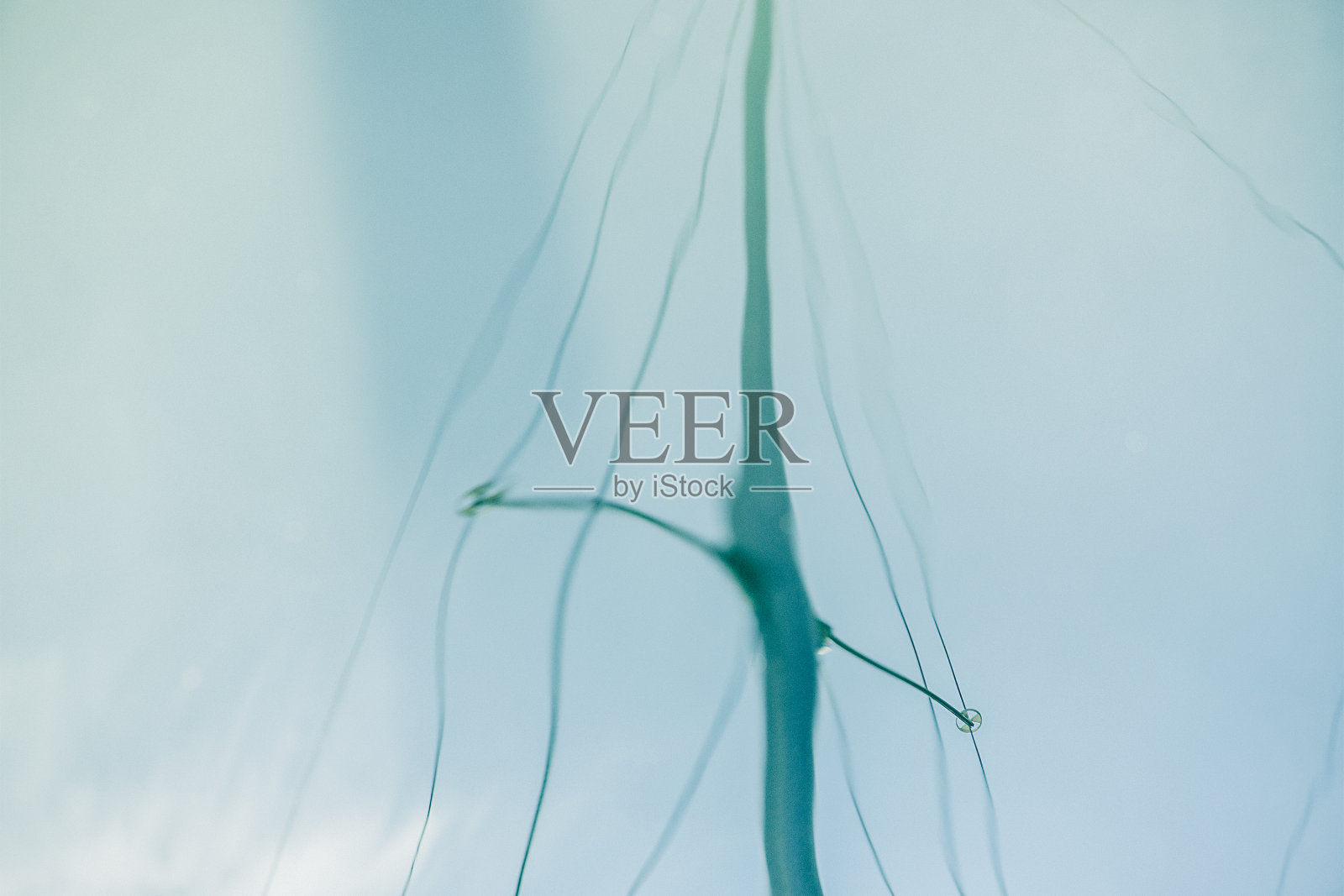 明亮的自然水面与帆桅反射照片摄影图片