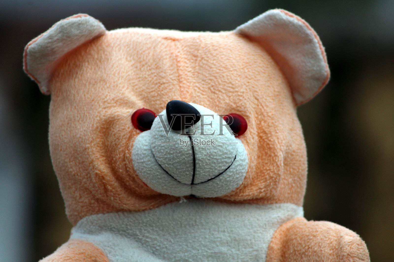 可爱的彩色玩具熊照片摄影图片