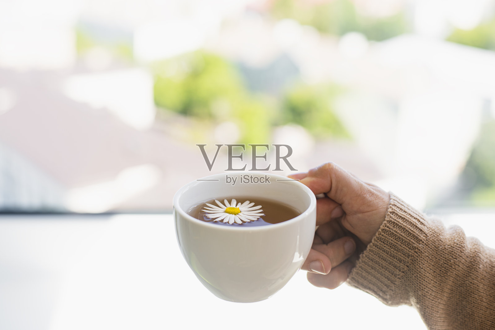 一杯平静的草药甘菊茶在女人的手中照片摄影图片