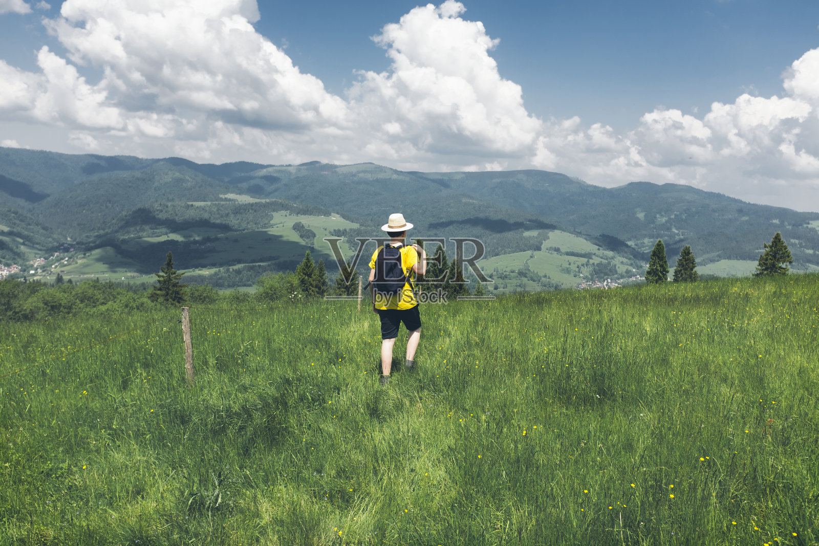 一个十几岁的男孩独自走在松树山的高草地上，在明亮的夏日徒步旅行中，有着令人惊叹的风景。广角拍摄，拷贝空间，后视图照片摄影图片