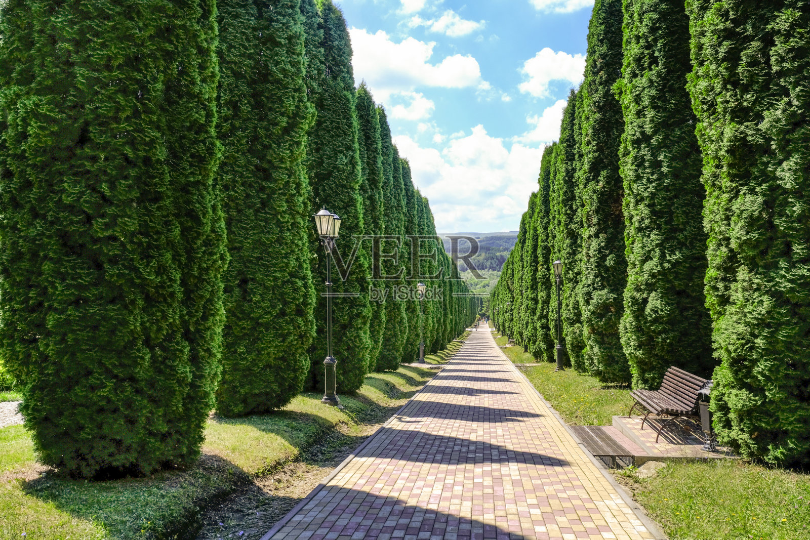 柏树小巷和蓝天。夏天，假期，梦想，旅行。俄罗斯的基斯洛沃茨克,此后04.08.2020照片摄影图片