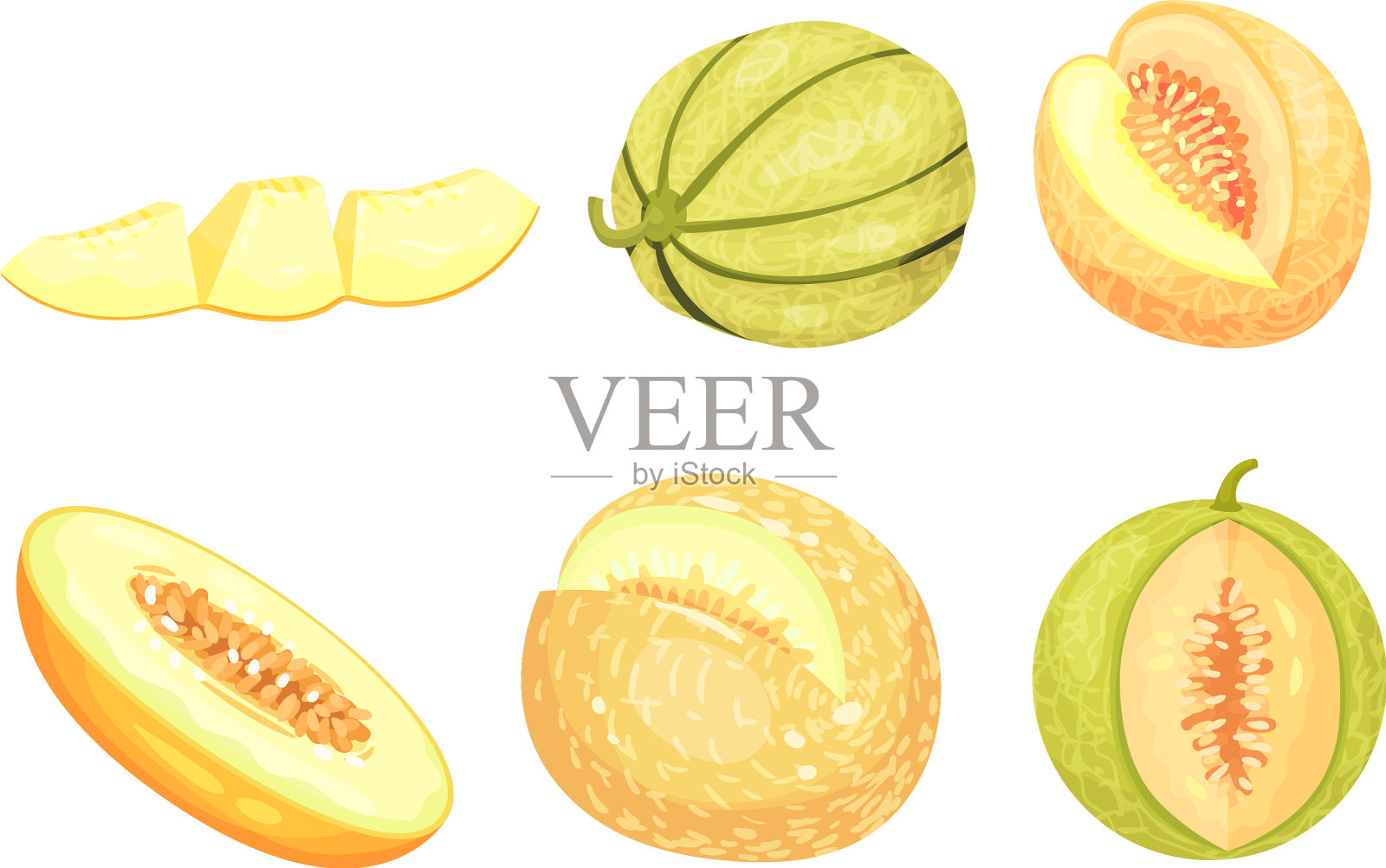 整体和横切面的瓜类水果，多汁插画图片素材