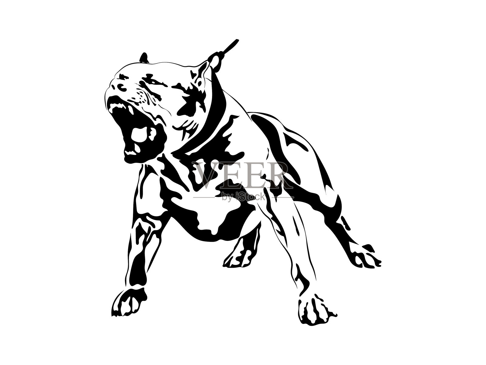 美国斗牛犬斗牛恶霸斯塔福德郡插画图片素材