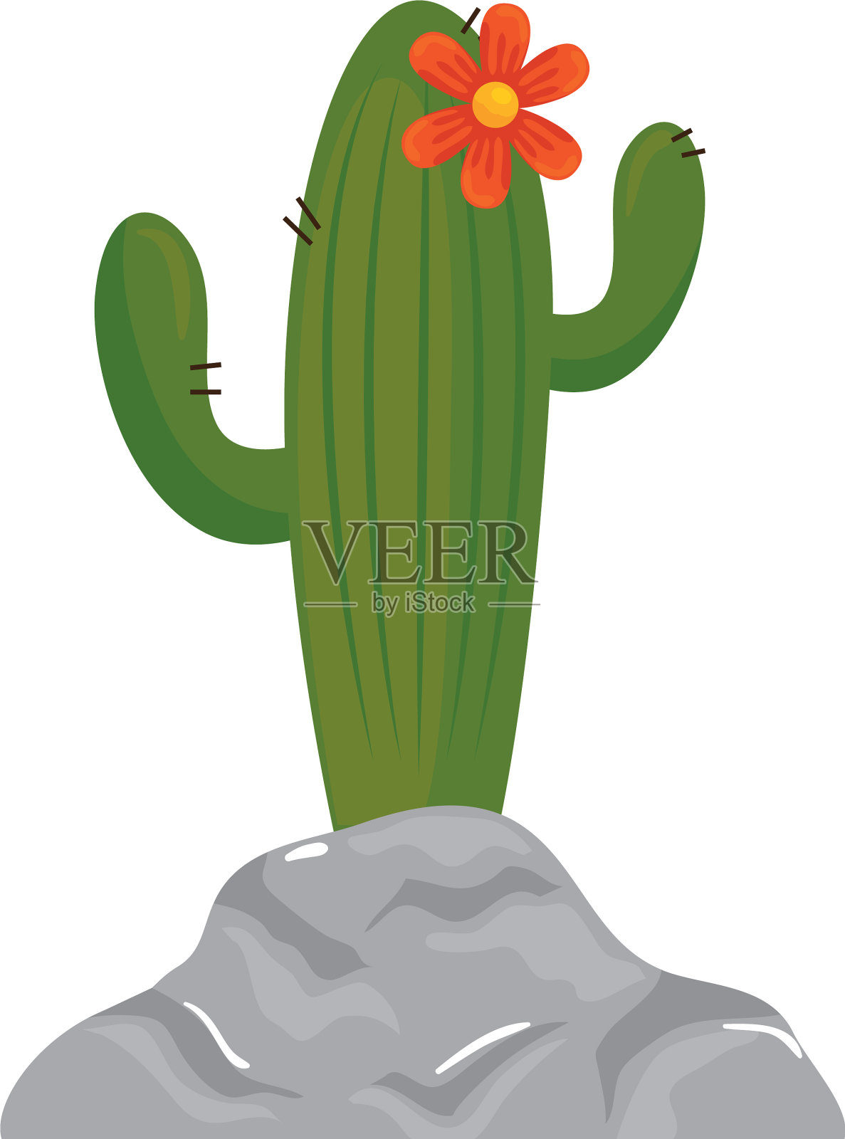 孤立的带有花朵图案的仙人掌植物设计元素图片