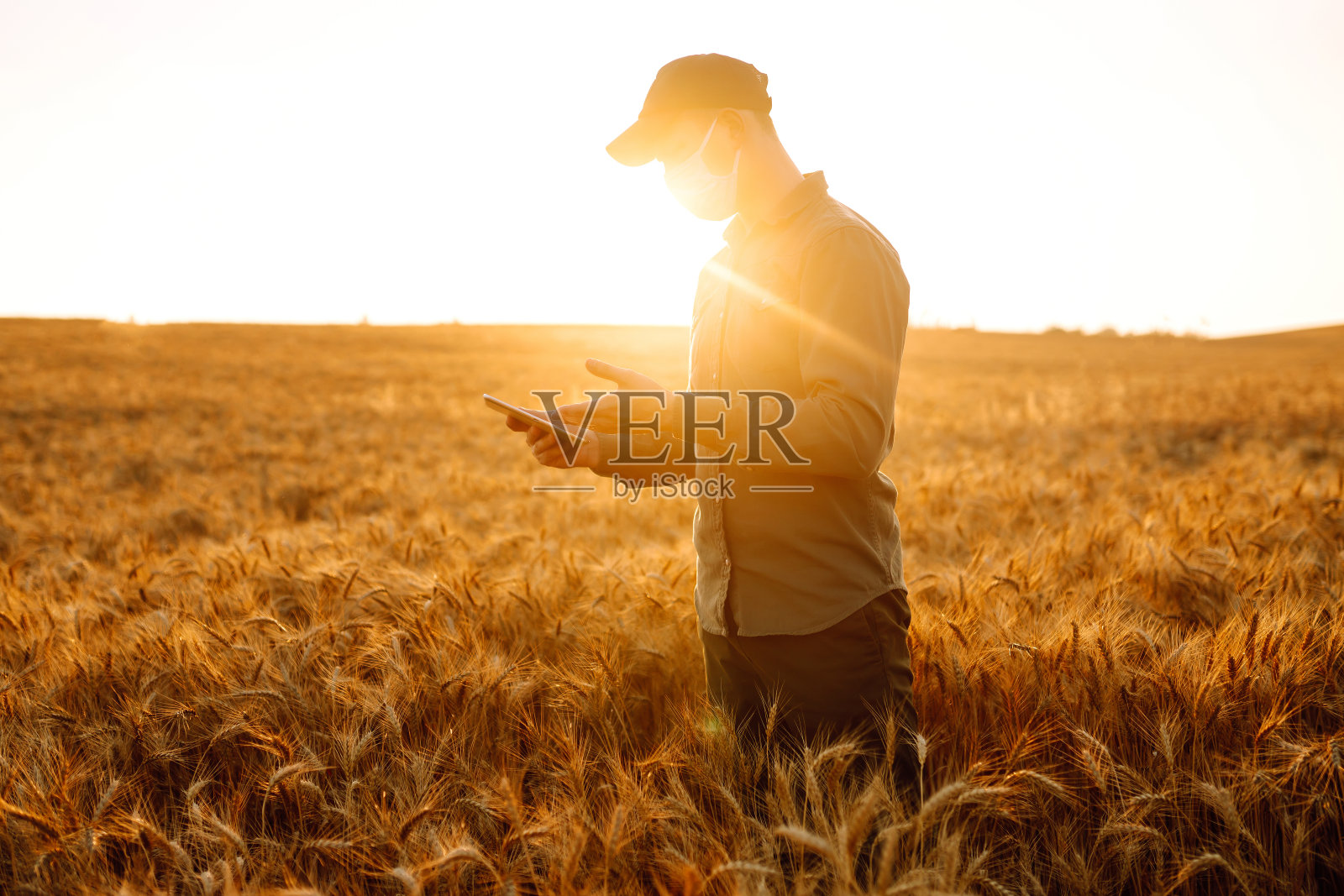 农民戴着消毒医用口罩，手里拿着药片。照片摄影图片