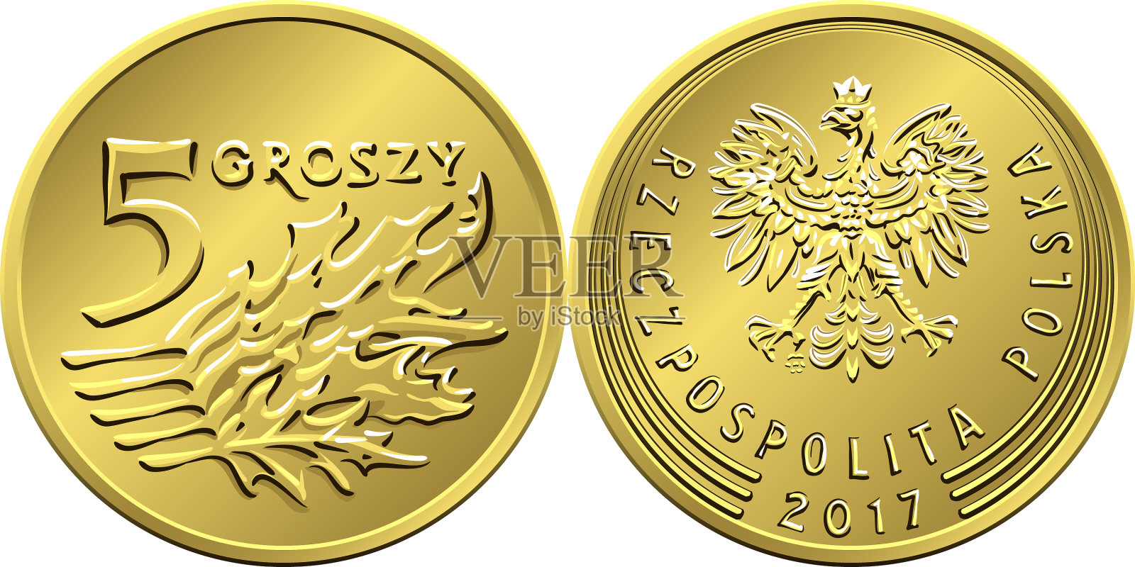 波兰钱币五毛硬币插画图片素材