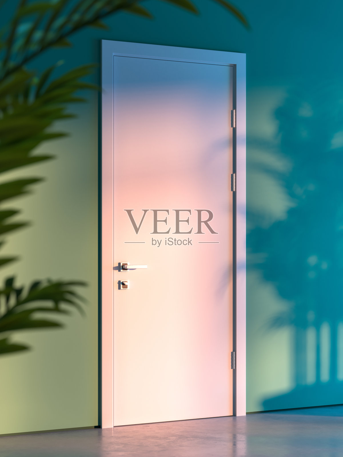 白色门在时尚的室内附近的植物阴影在绿色墙壁。3d渲染。照片摄影图片