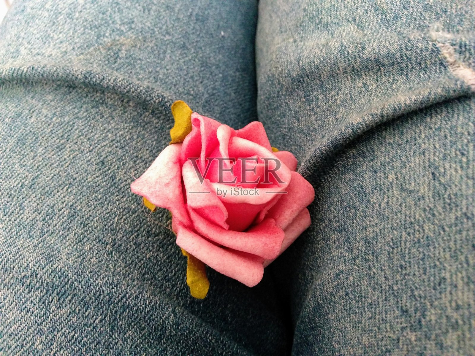 腿上的玫瑰照片摄影图片