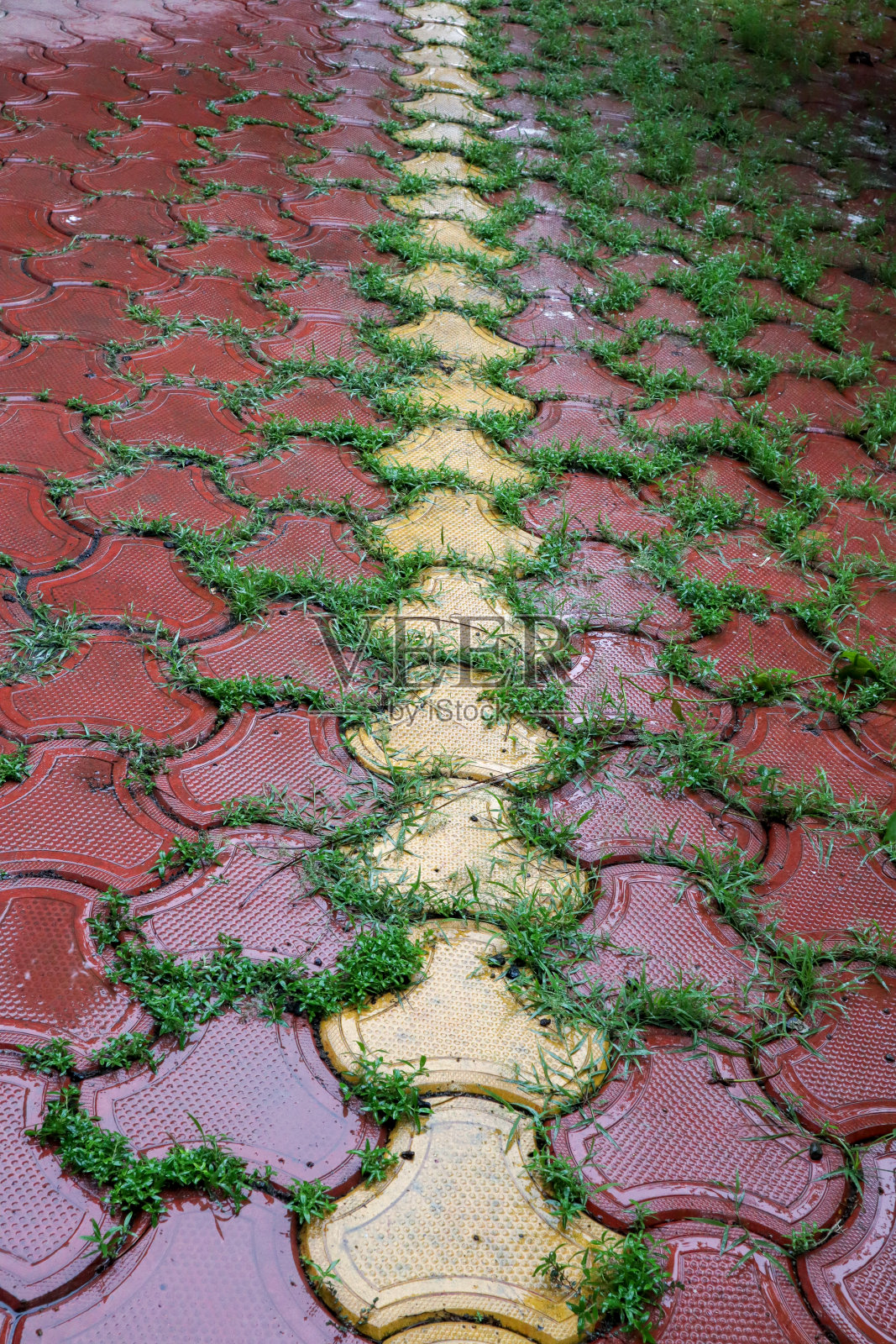 黄色线条从红色线条瓷砖中脱颖而出。雨季潮湿的小路。草在瓦片间生长。照片摄影图片