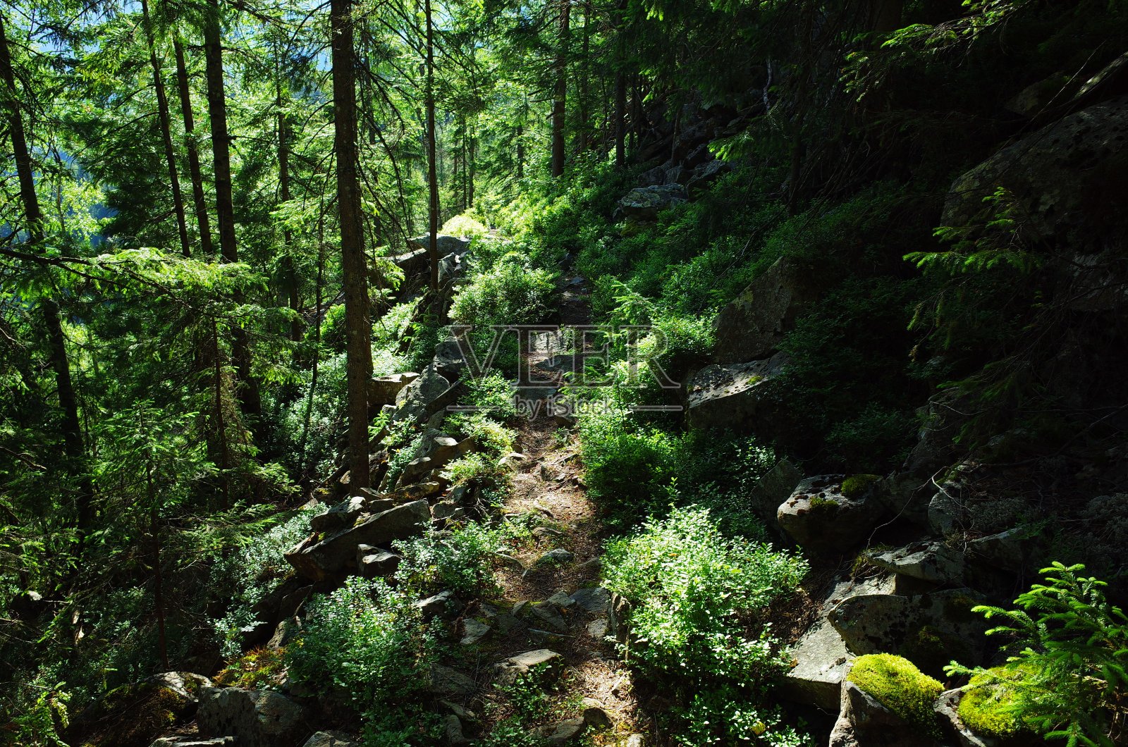 风景如画的喀尔巴阡山脉，乌克兰照片摄影图片