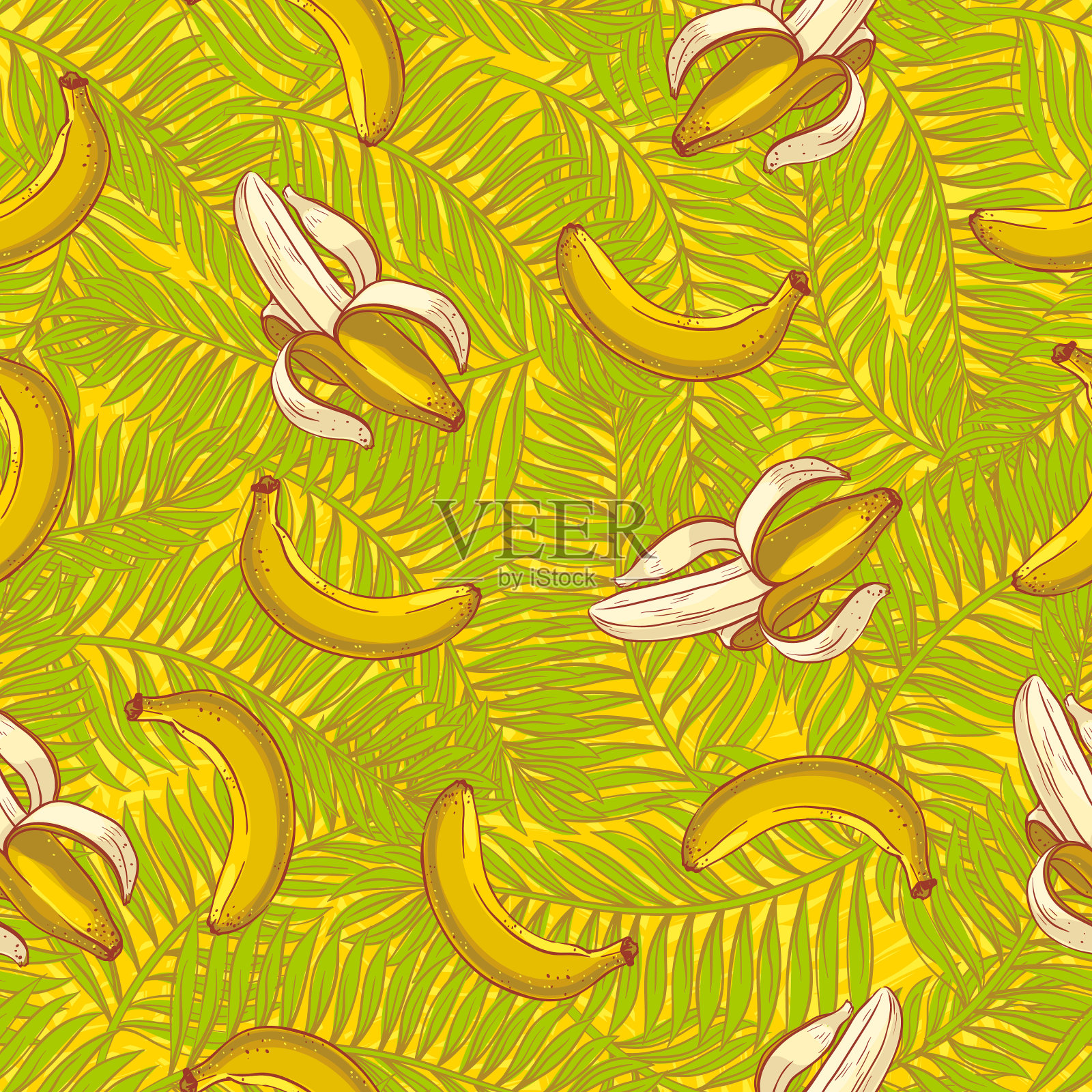 棕榈叶和香蕉插画图片素材