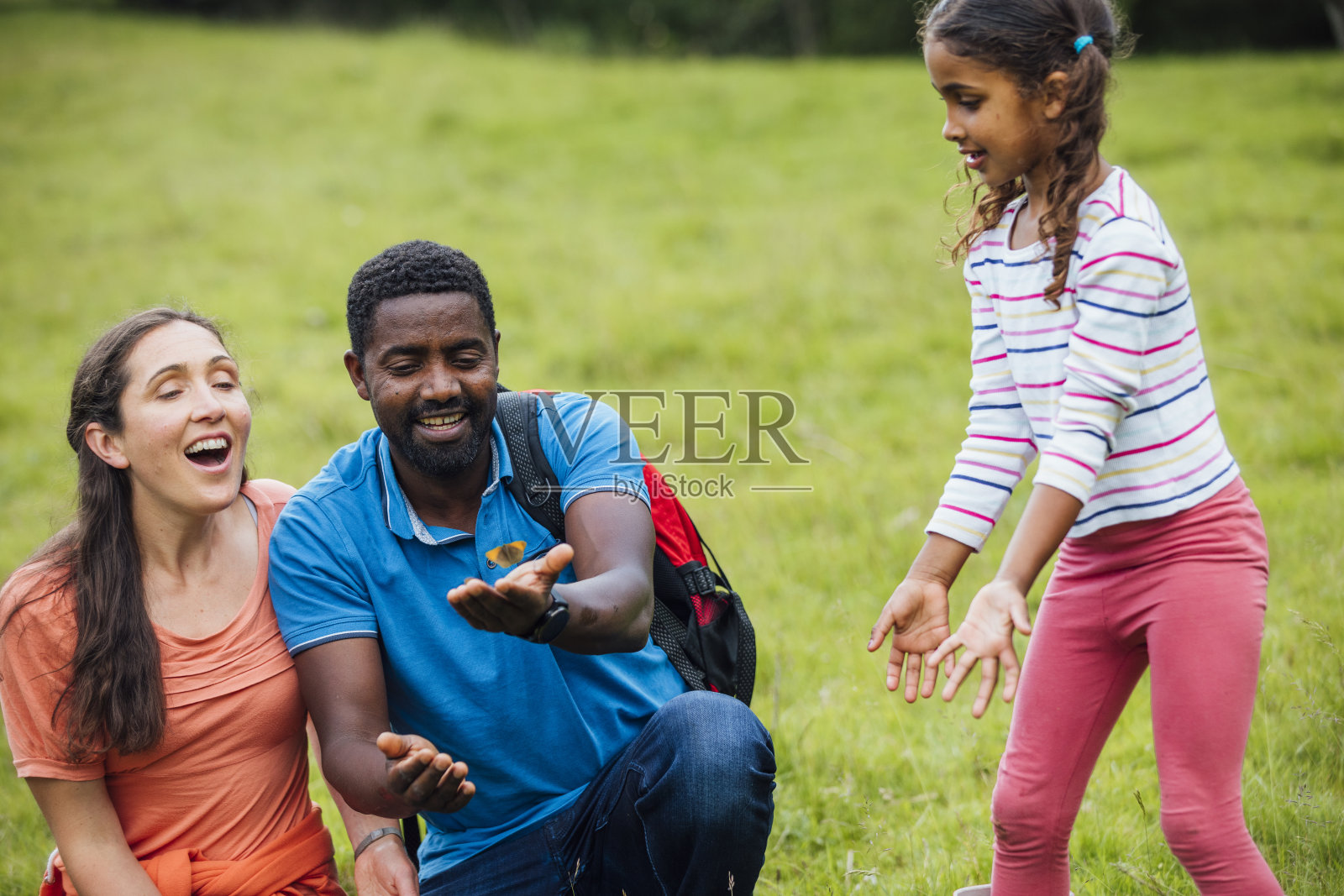 看看这只蝴蝶照片摄影图片