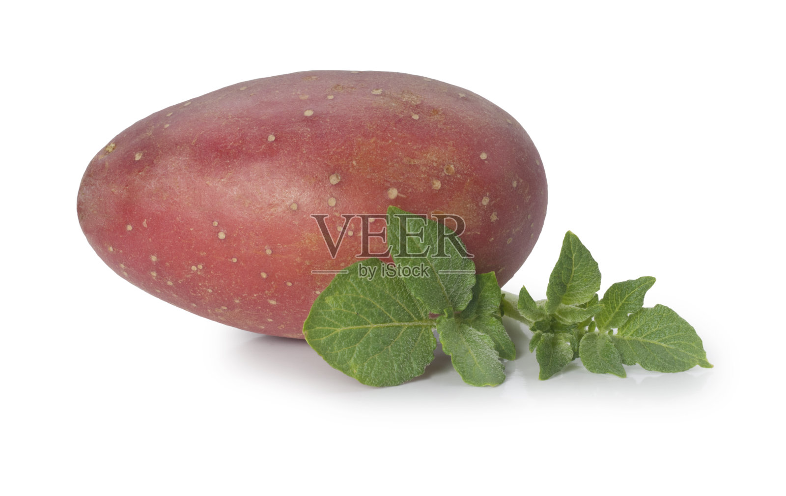 红色的土豆照片摄影图片