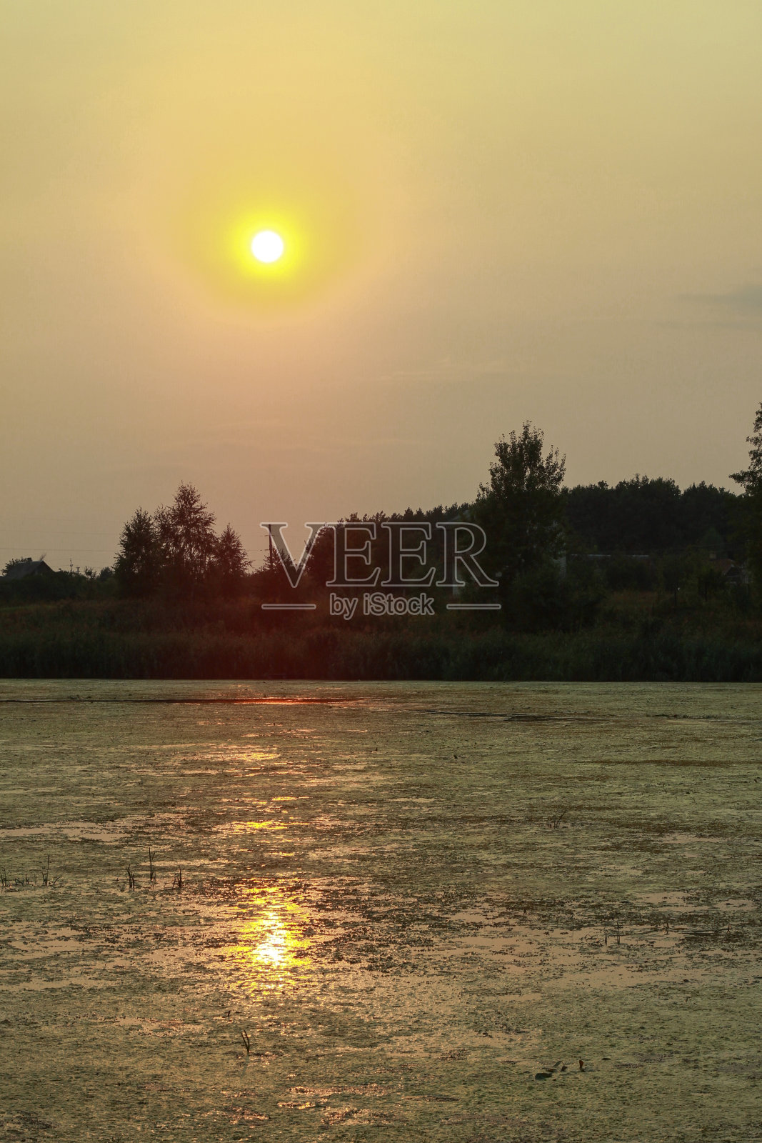 美丽的河流在西伯利亚的一个美丽的地区。加拿大有一个寒冷的湖。库存图片背景。照片摄影图片