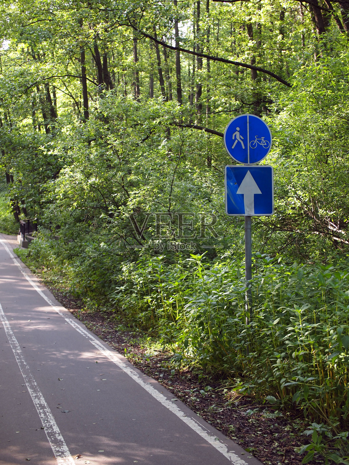 活跃的娱乐和散步场所。照片摄影图片