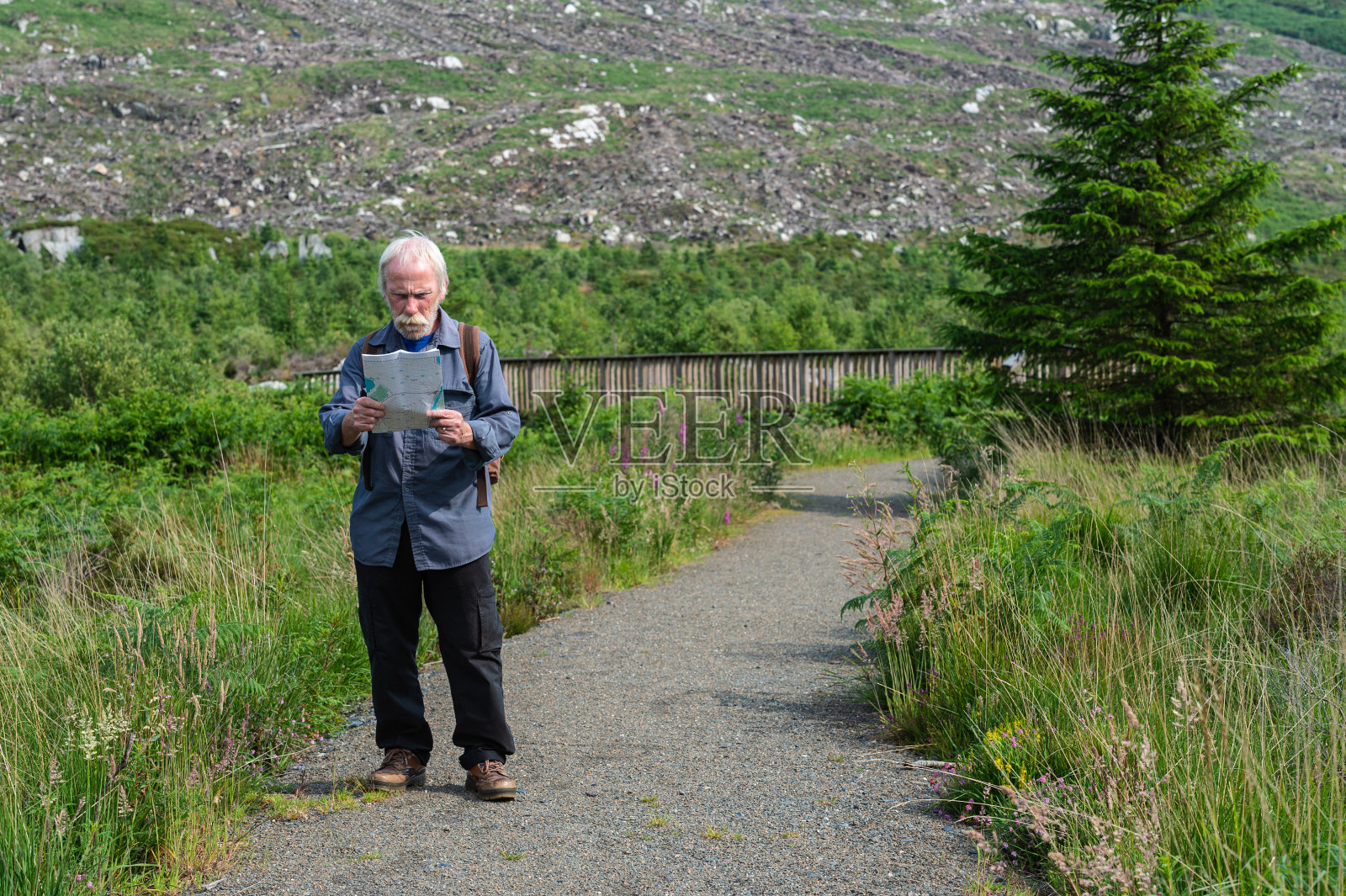 在苏格兰西南部 Dumfries and Galloway 的乡村小路上，年长的男人正在看地图照片摄影图片