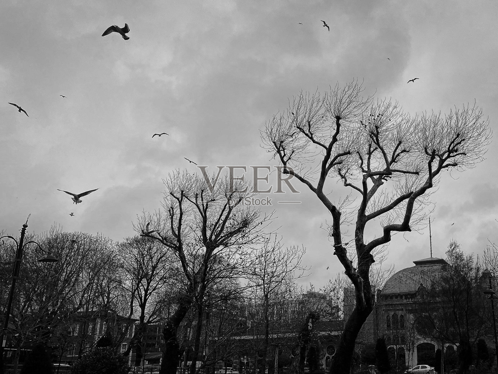 伊斯坦布尔照片摄影图片