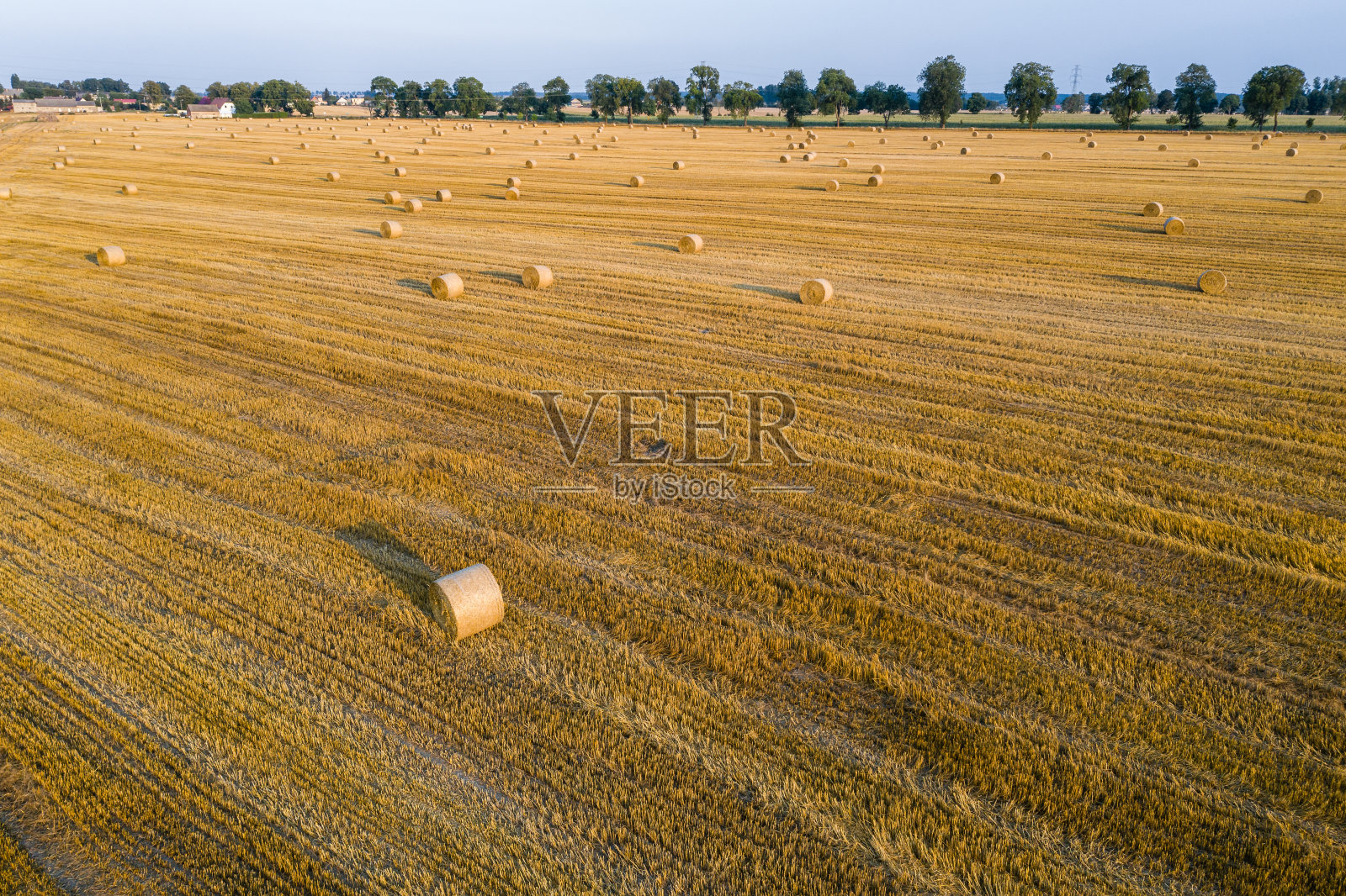 鸟瞰图在茬上的圆形干草捆，收获时间照片摄影图片