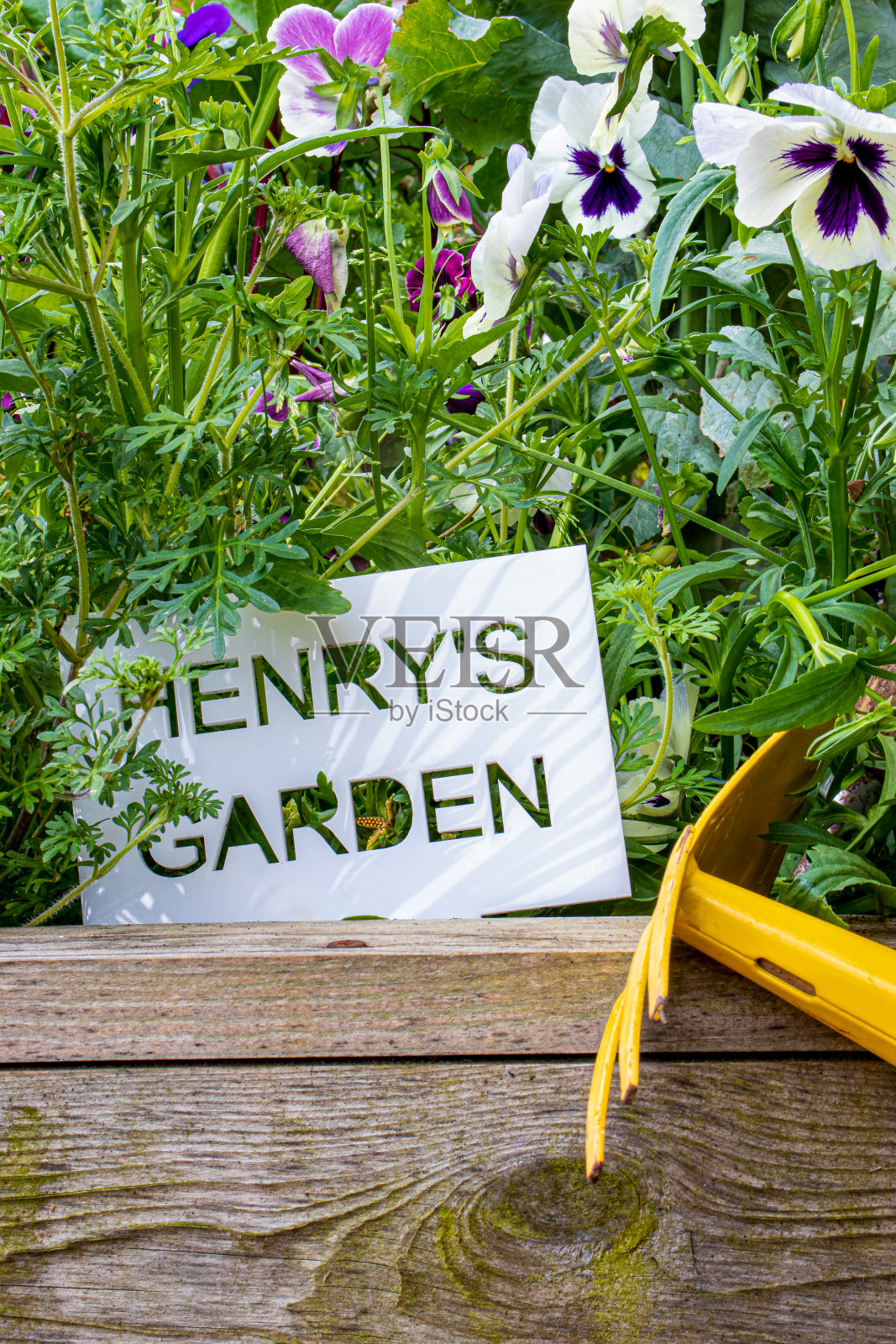 在高床上建造的儿童花园照片摄影图片