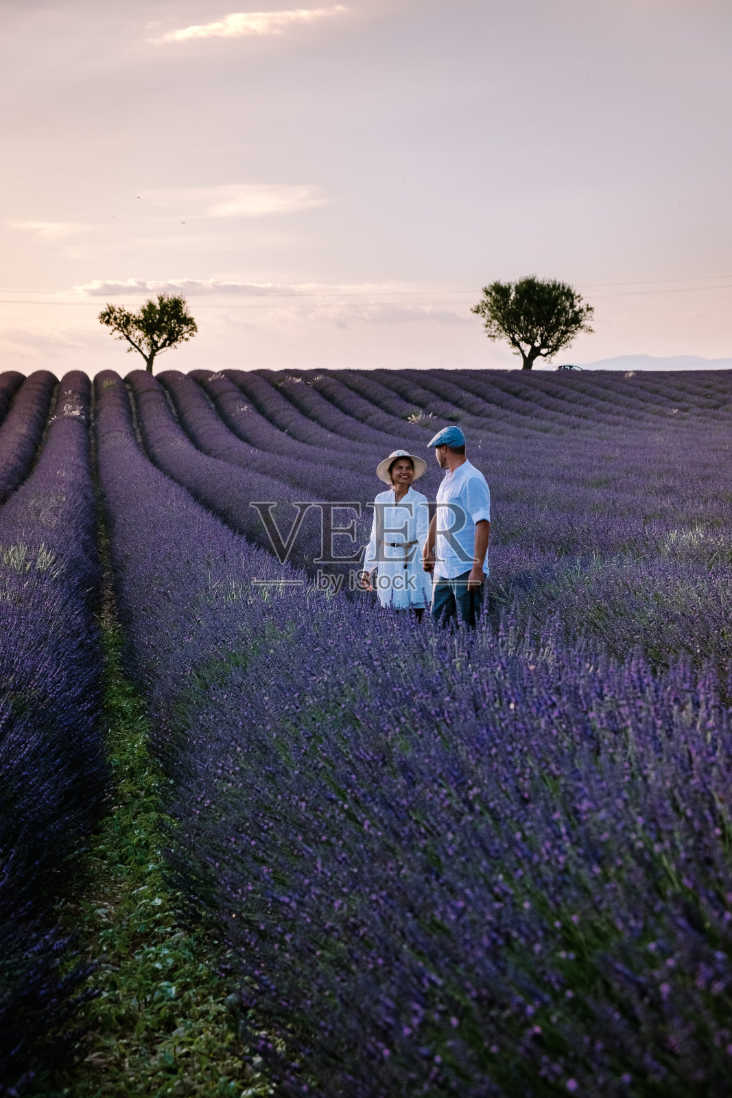 一对男女在普罗旺斯薰衣草田度假，普罗旺斯，薰衣草田法国，瓦伦索高原，丰富多彩的薰衣草田瓦伦索高原，普罗旺斯，法国南部。薰衣草田照片摄影图片